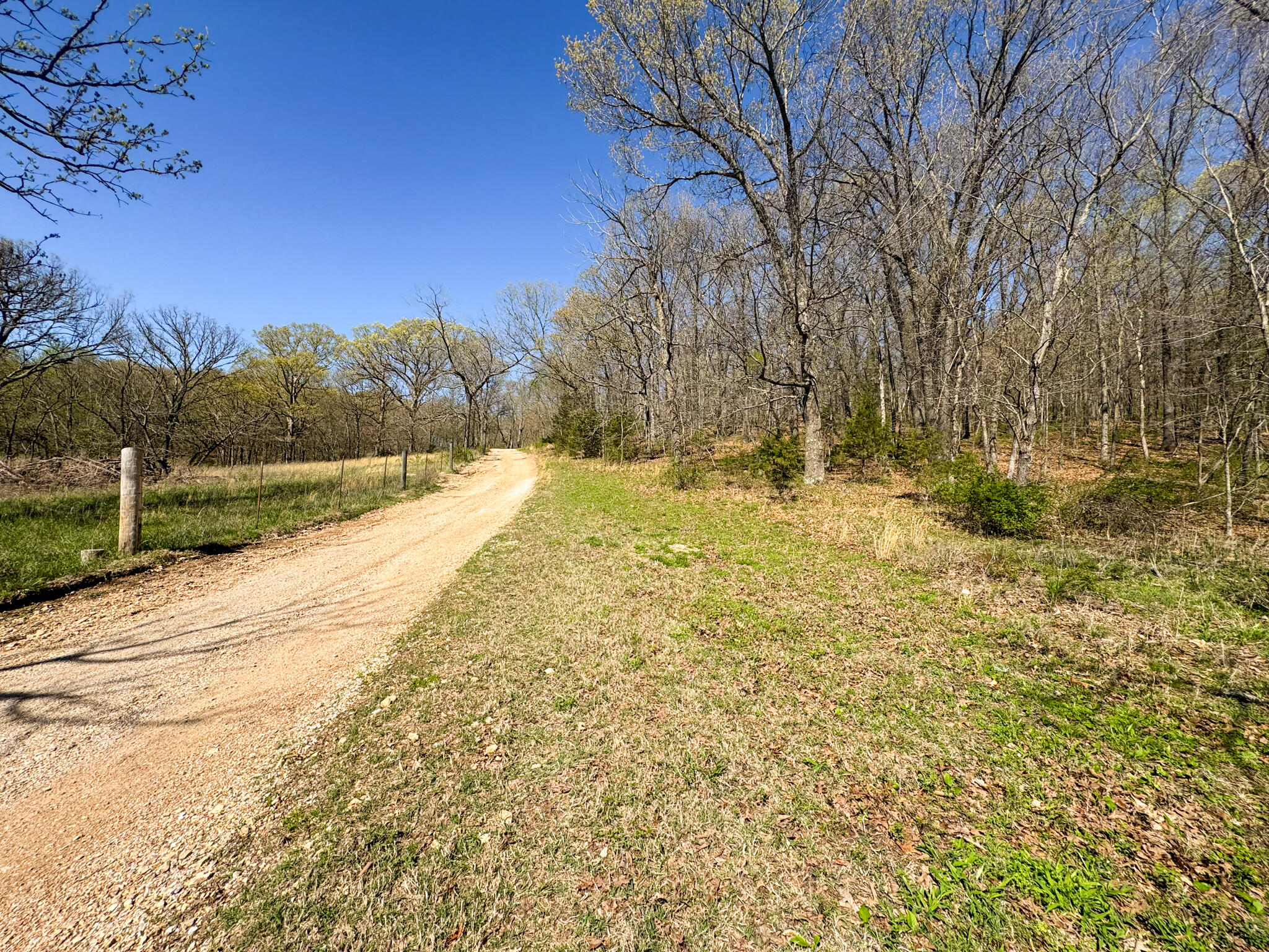 Photo 6 - Land for sale – 000  Red Wolf Lane  Goodman, MO