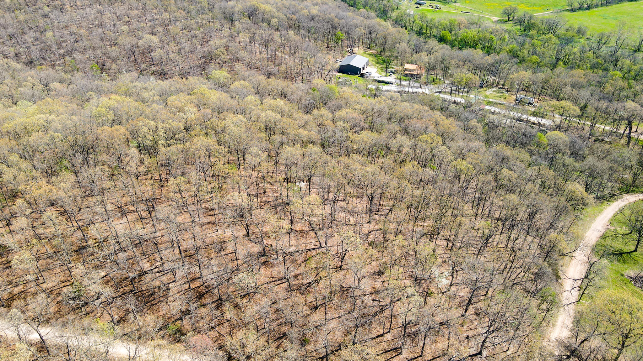 Photo 3 - Land for sale – 000  Red Wolf Lane  Goodman, MO