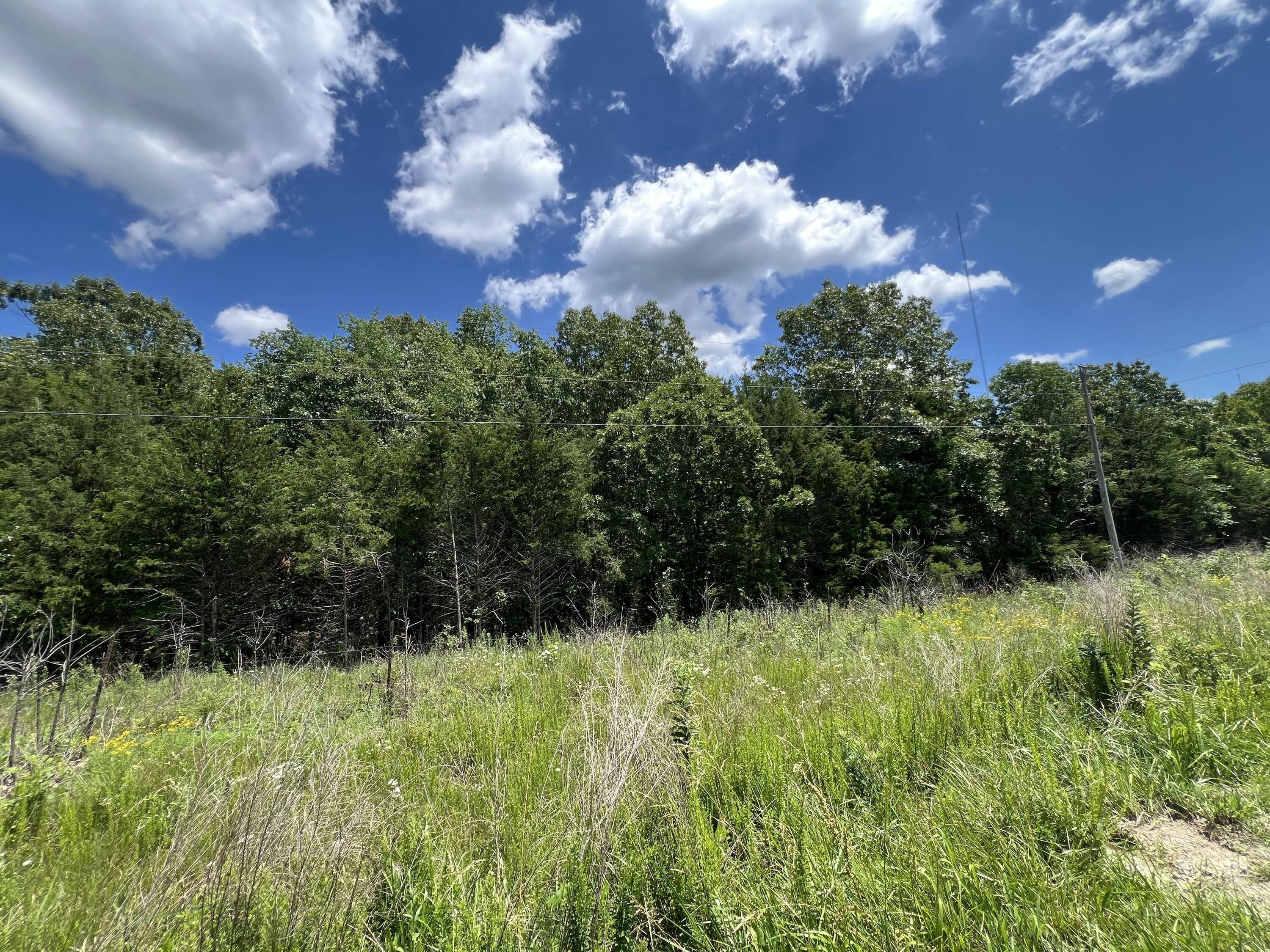 Photo 6 - Land for sale – 000  Gardner Hill Lane  Fordland, MO