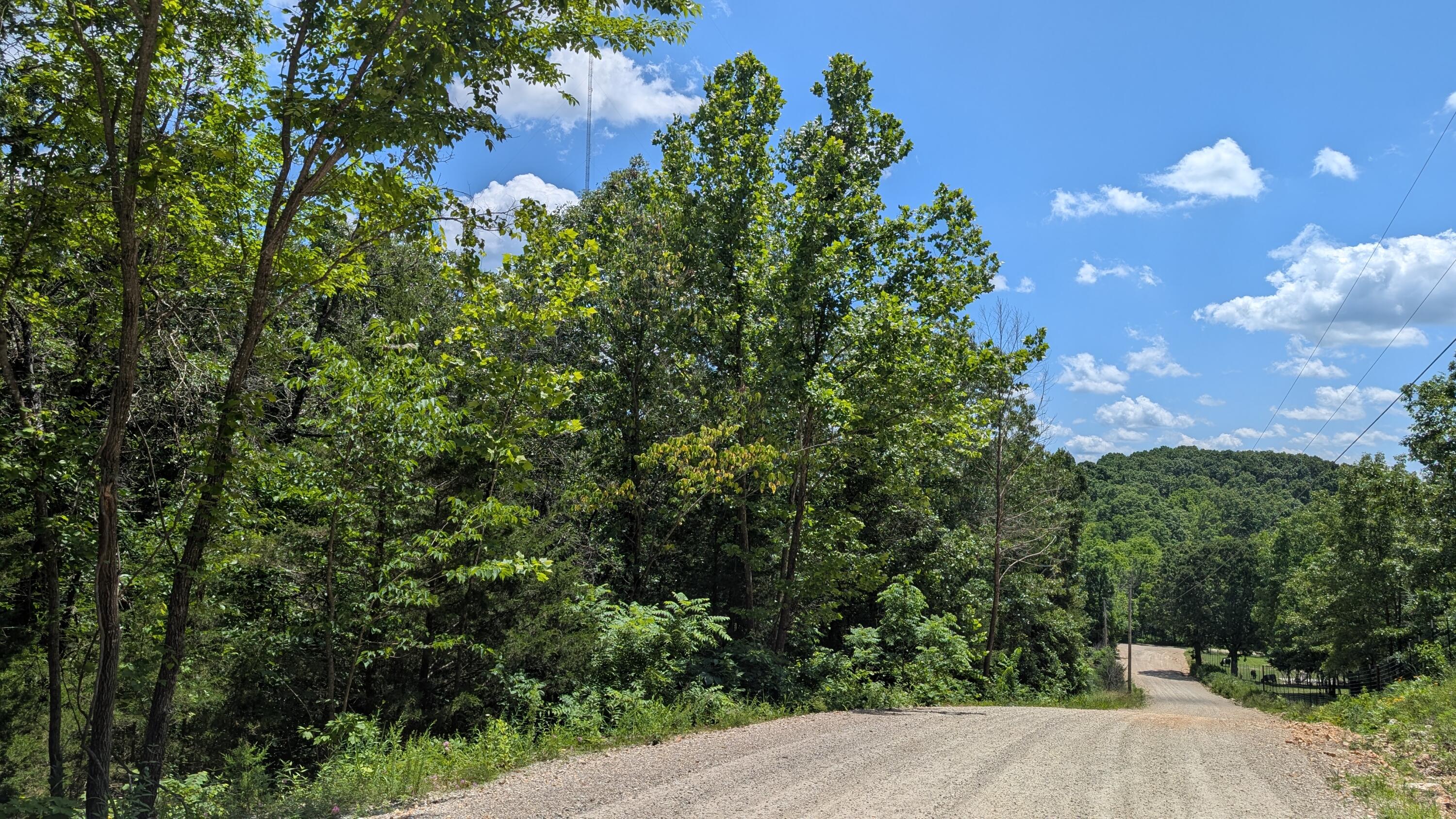 Photo 3 - Land for sale – 000  Gardner Hill Lane  Fordland, MO