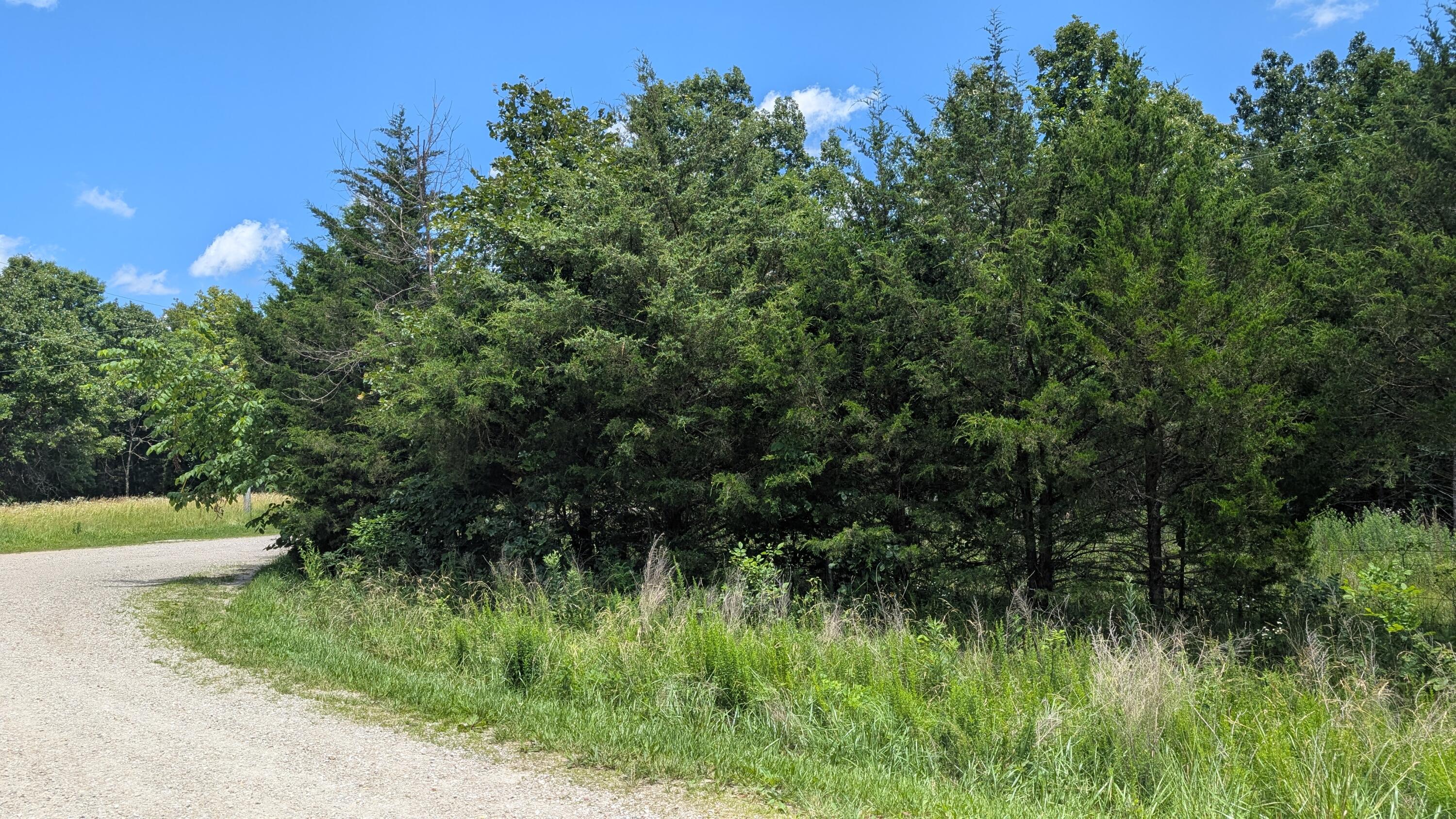 Land for sale – 000 Gardner Hill Lane Fordland, MO