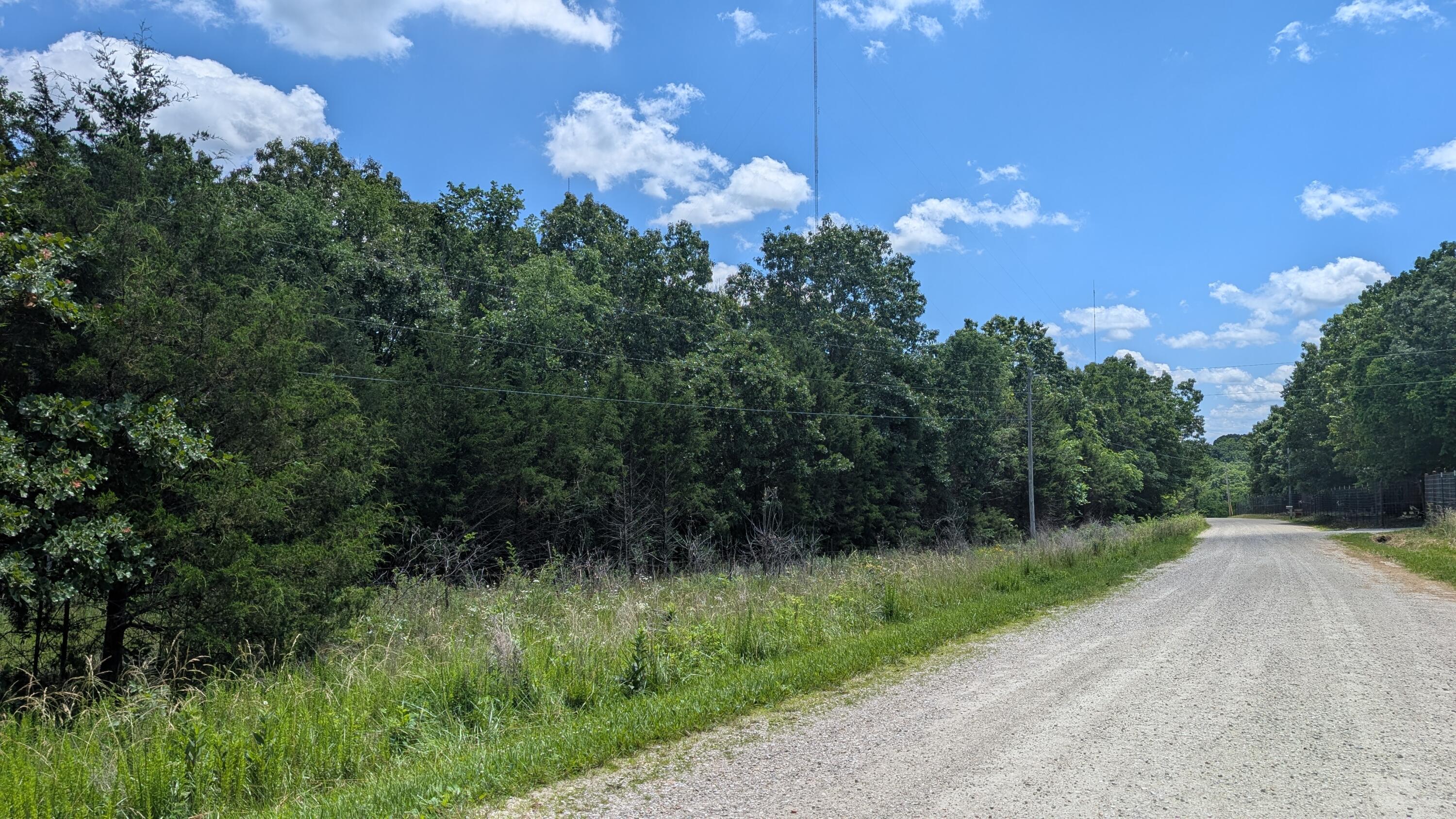 Photo 4 - Land for sale – 000  Gardner Hill Lane  Fordland, MO