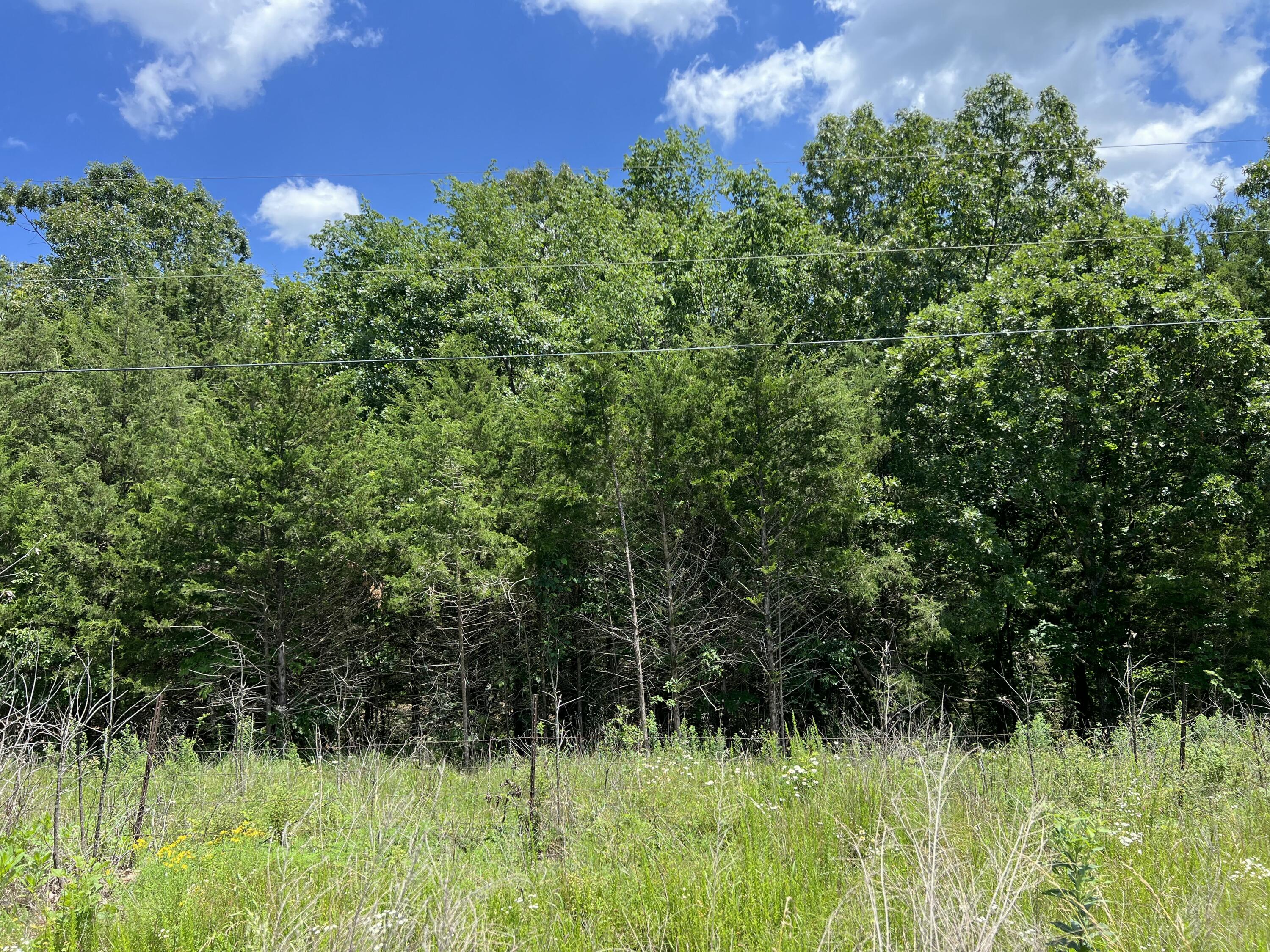 Photo 5 - Land for sale – 000  Gardner Hill Lane  Fordland, MO