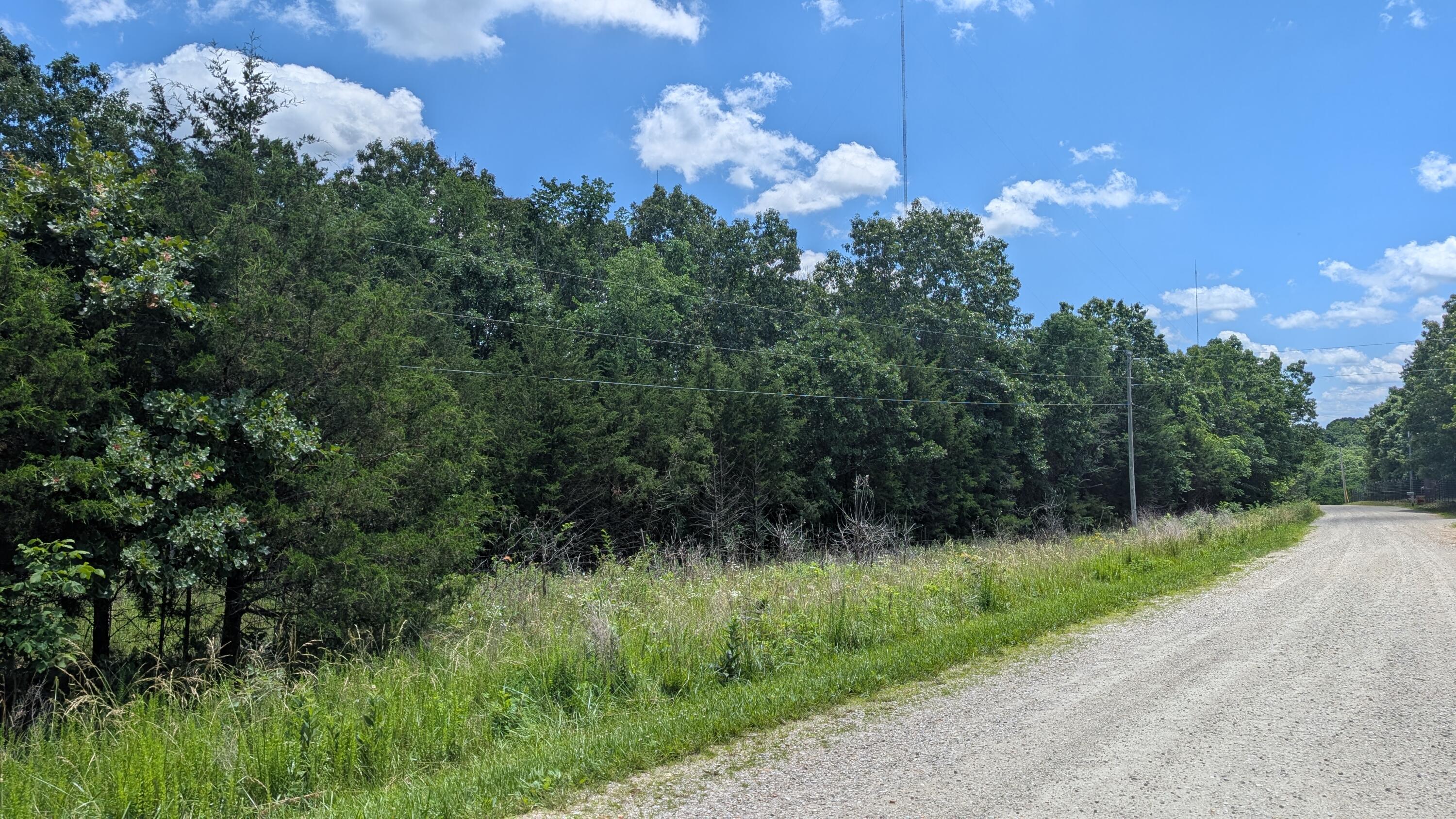 Photo 7 - Land for sale – 000  Gardner Hill Lane  Fordland, MO