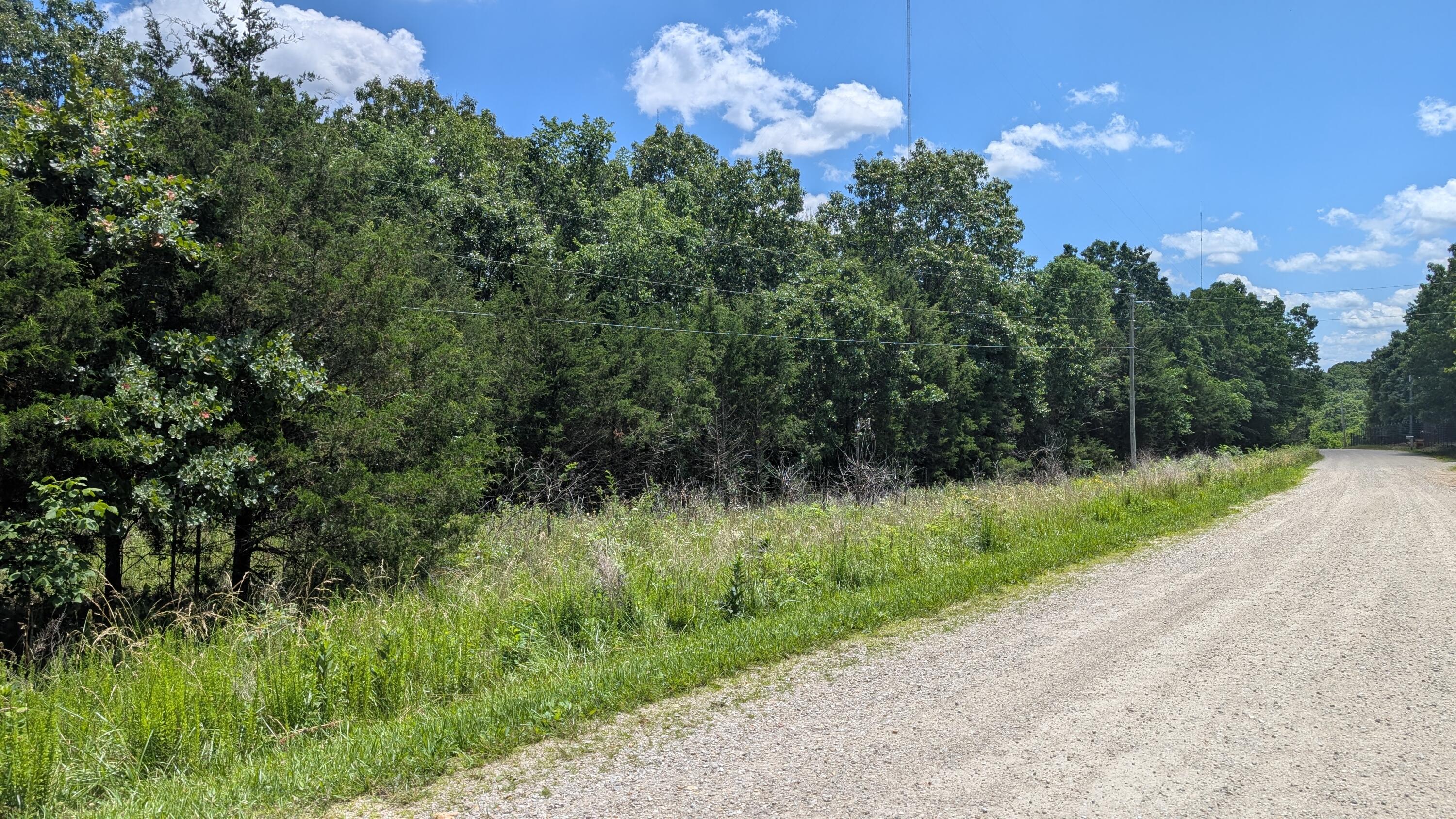 Photo 8 - Land for sale – 000  Gardner Hill Lane  Fordland, MO