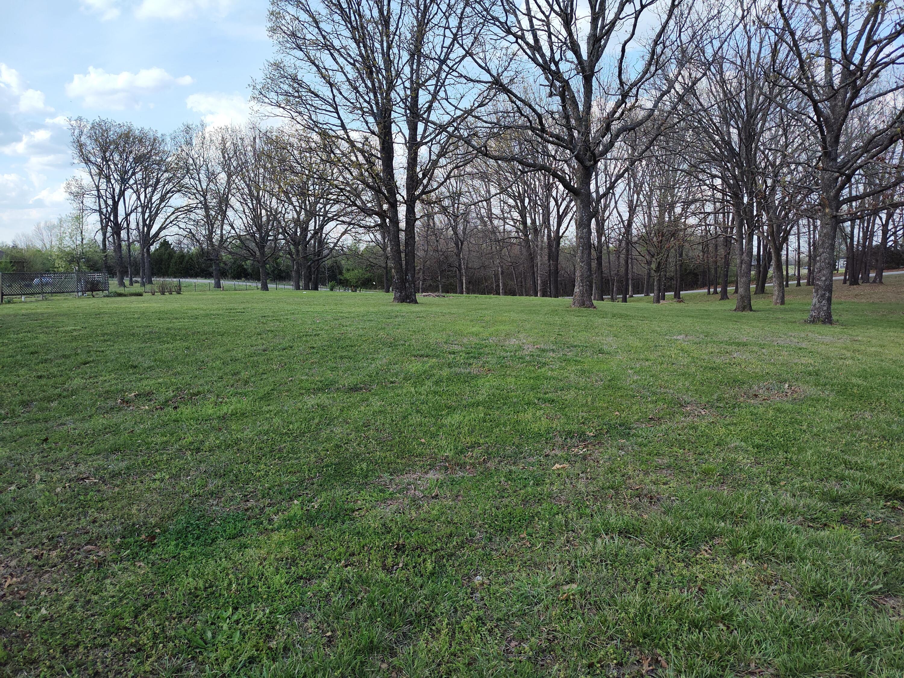 Photo 48 - Residential for sale – 4107 S 118th Road  Bolivar, MO