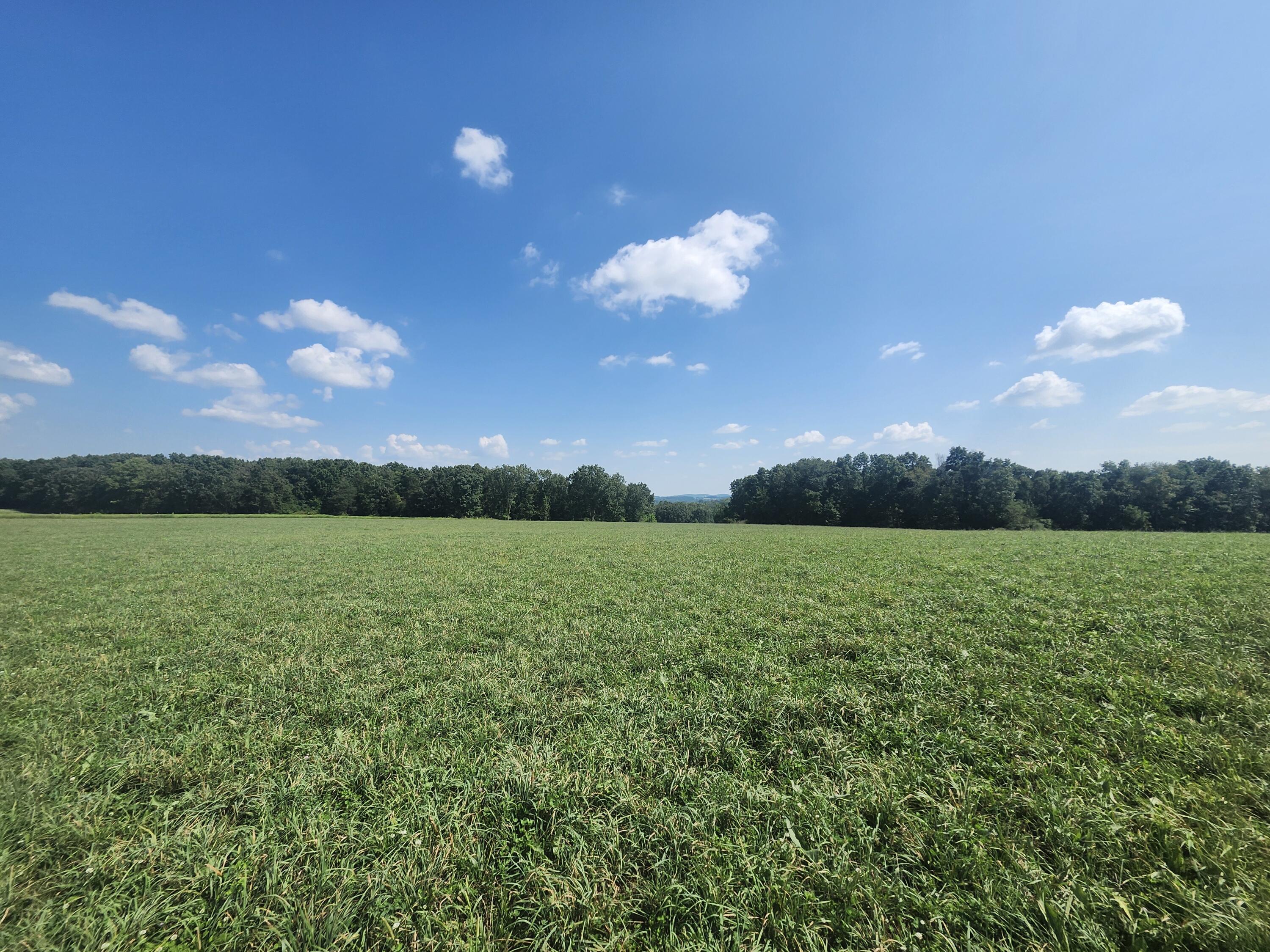 Photo 7 - Land for sale – 000  Tbd Girlstown Road   Mountain Grove, MO