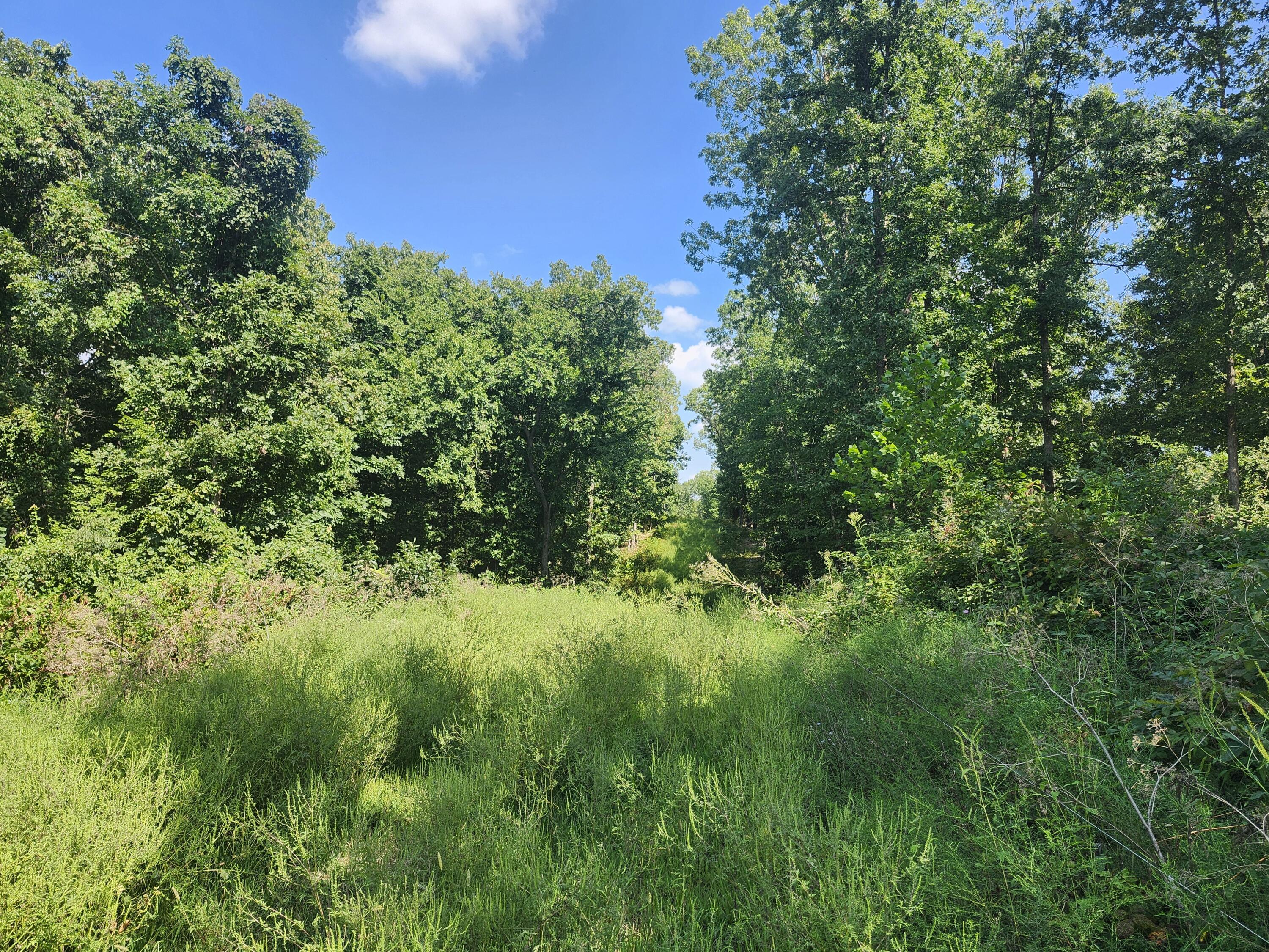 Photo 9 - Land for sale – 000  Tbd Girlstown Road   Mountain Grove, MO
