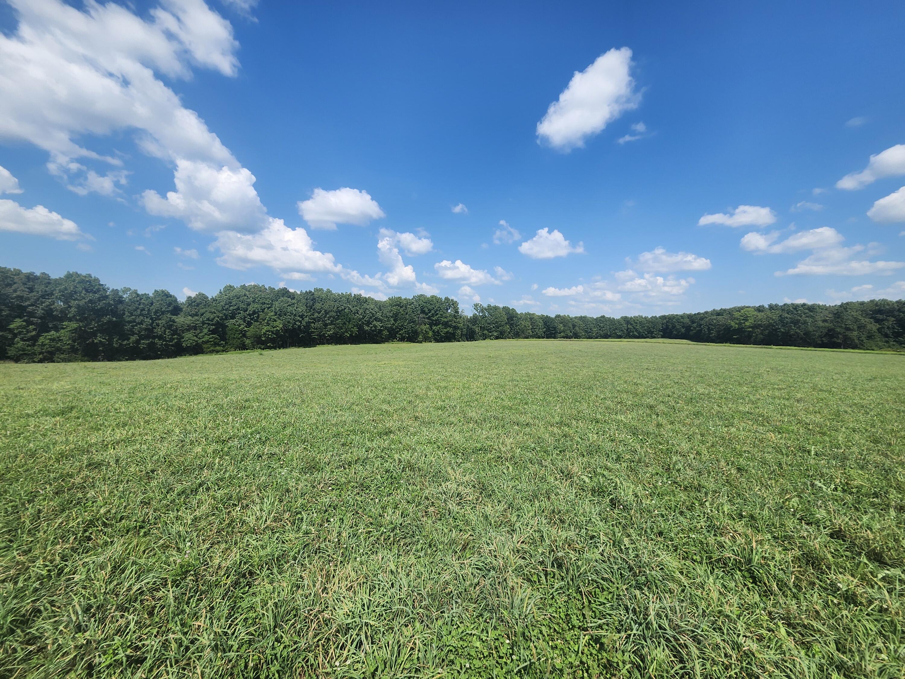 Photo 2 - Land for sale – 000  Tbd Girlstown Road   Mountain Grove, MO