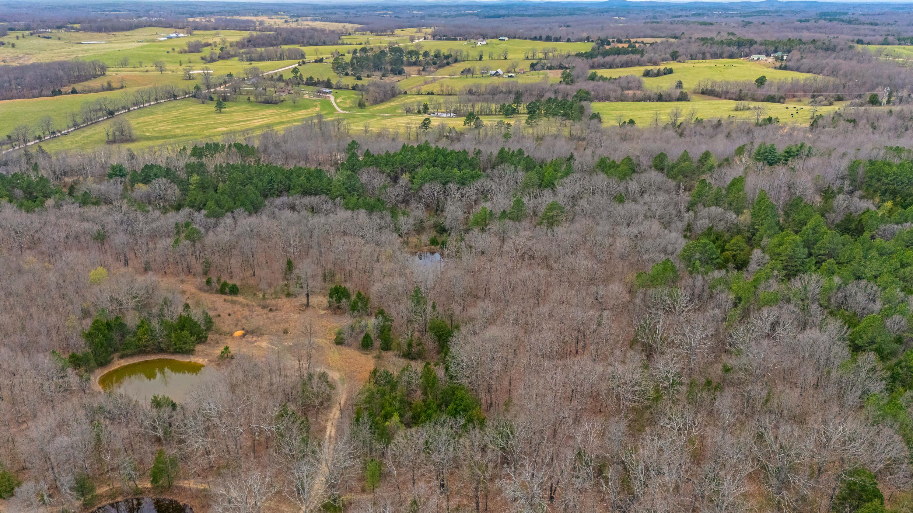 Photo 14 - Land for sale – 3725  County Road 5500   Willow Springs, MO