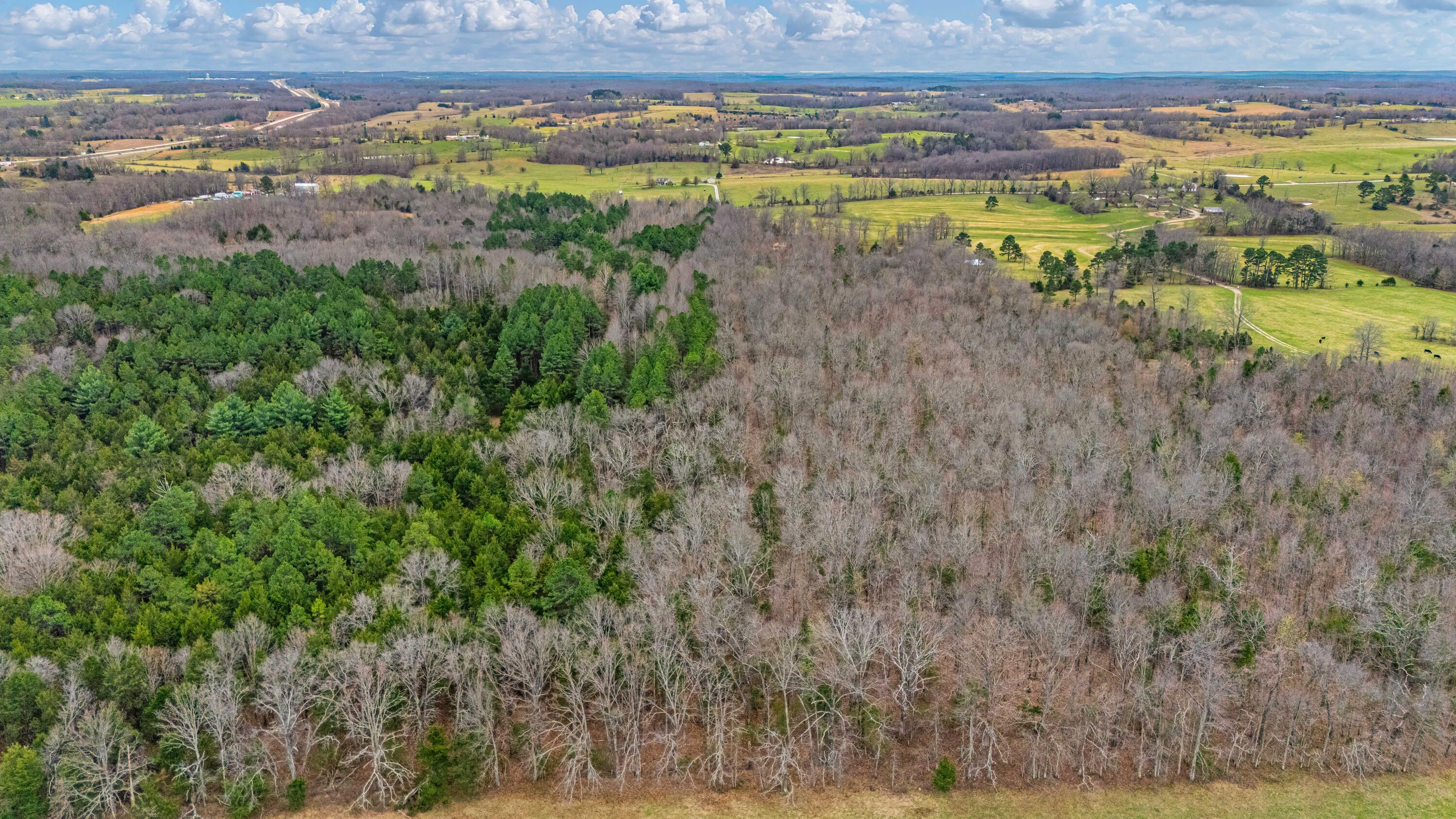 Photo 7 - Land for sale – 3725  County Road 5500   Willow Springs, MO