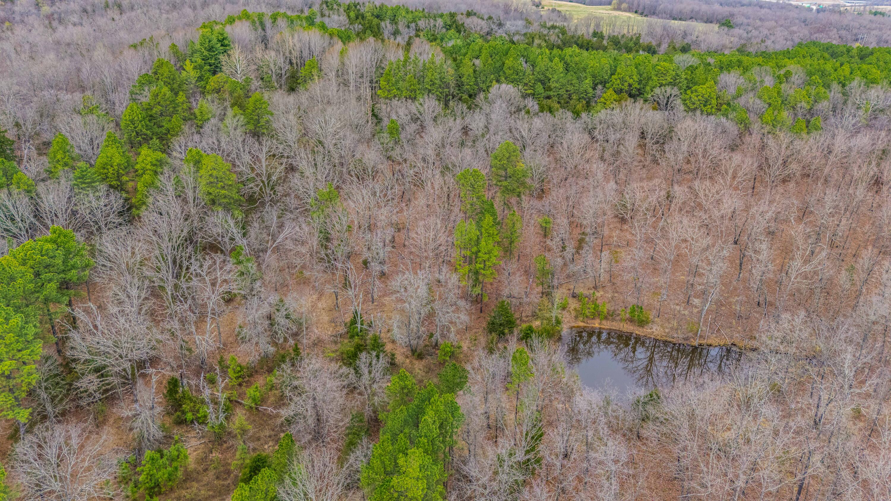 Photo 20 - Land for sale – 3725  County Road 5500   Willow Springs, MO