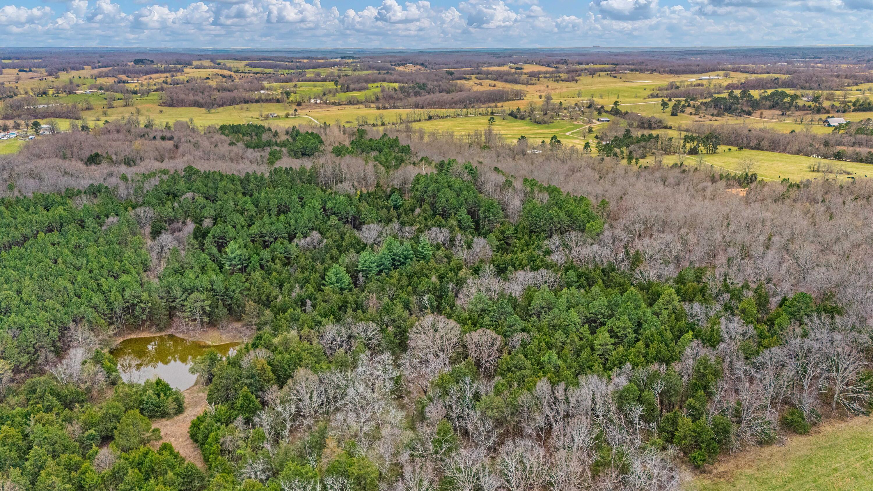 Photo 9 - Land for sale – 3725  County Road 5500   Willow Springs, MO