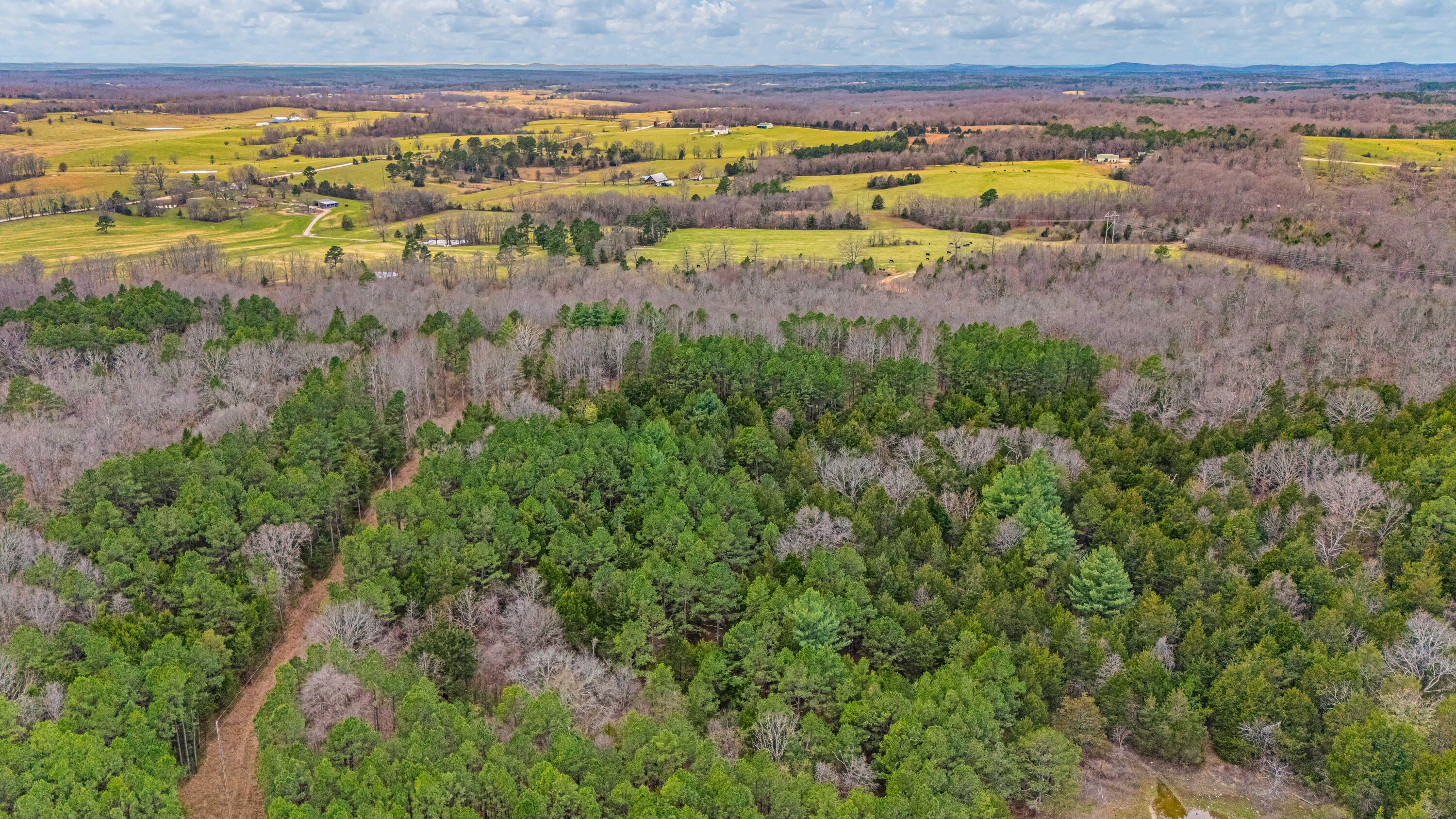 Photo 12 - Land for sale – 3725  County Road 5500   Willow Springs, MO