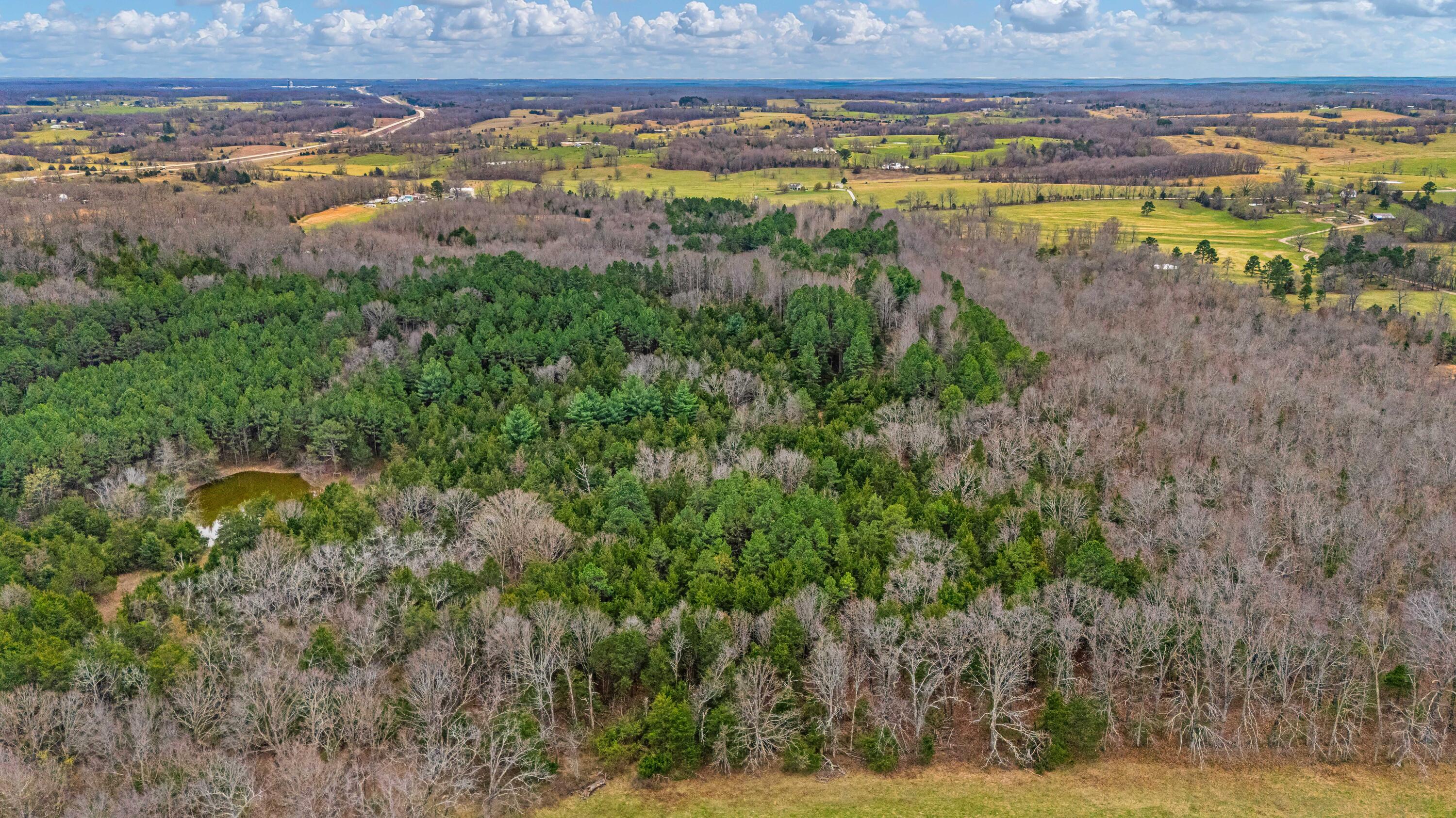 Photo 8 - Land for sale – 3725  County Road 5500   Willow Springs, MO