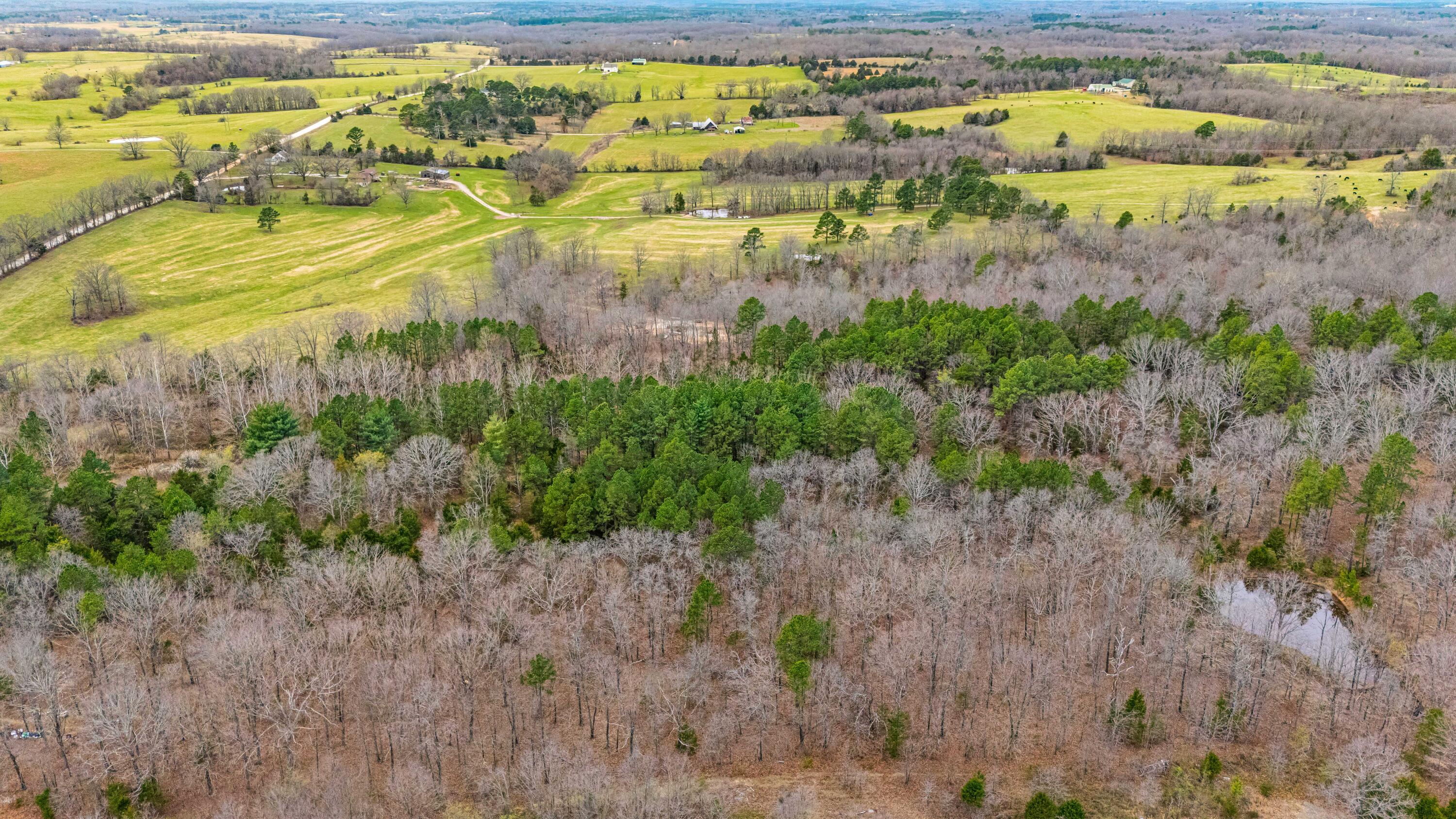 Photo 16 - Land for sale – 3725  County Road 5500   Willow Springs, MO