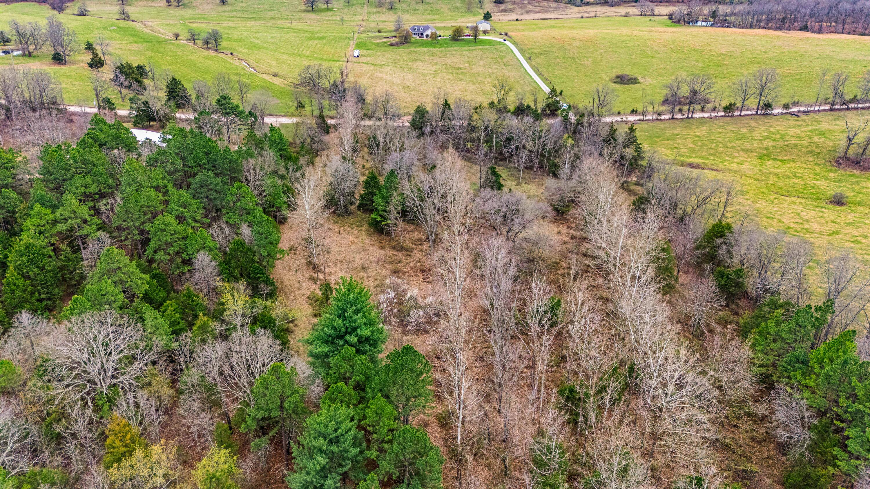 Photo 21 - Land for sale – 3725  County Road 5500   Willow Springs, MO
