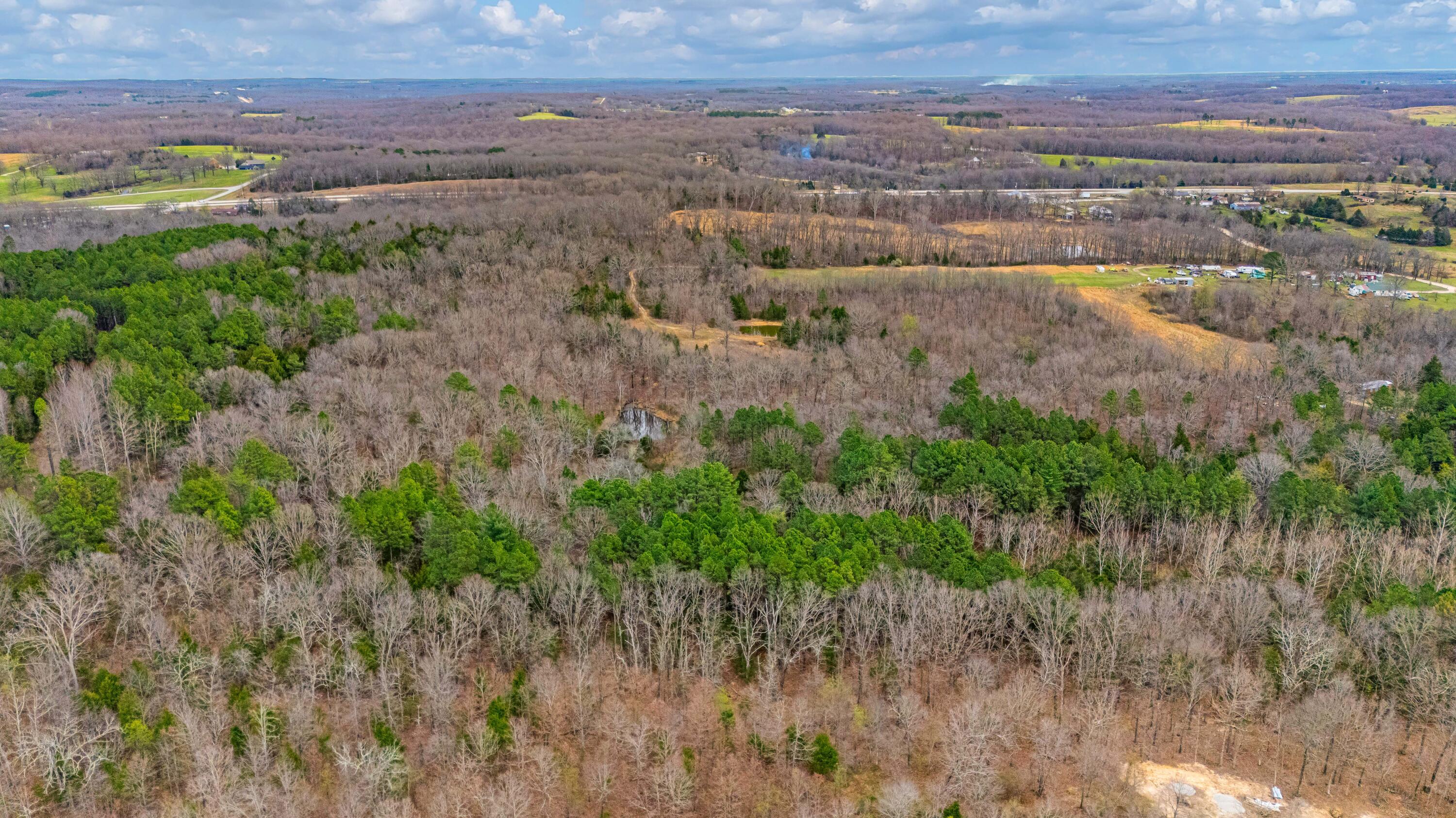 Photo 4 - Land for sale – 3725  County Road 5500   Willow Springs, MO