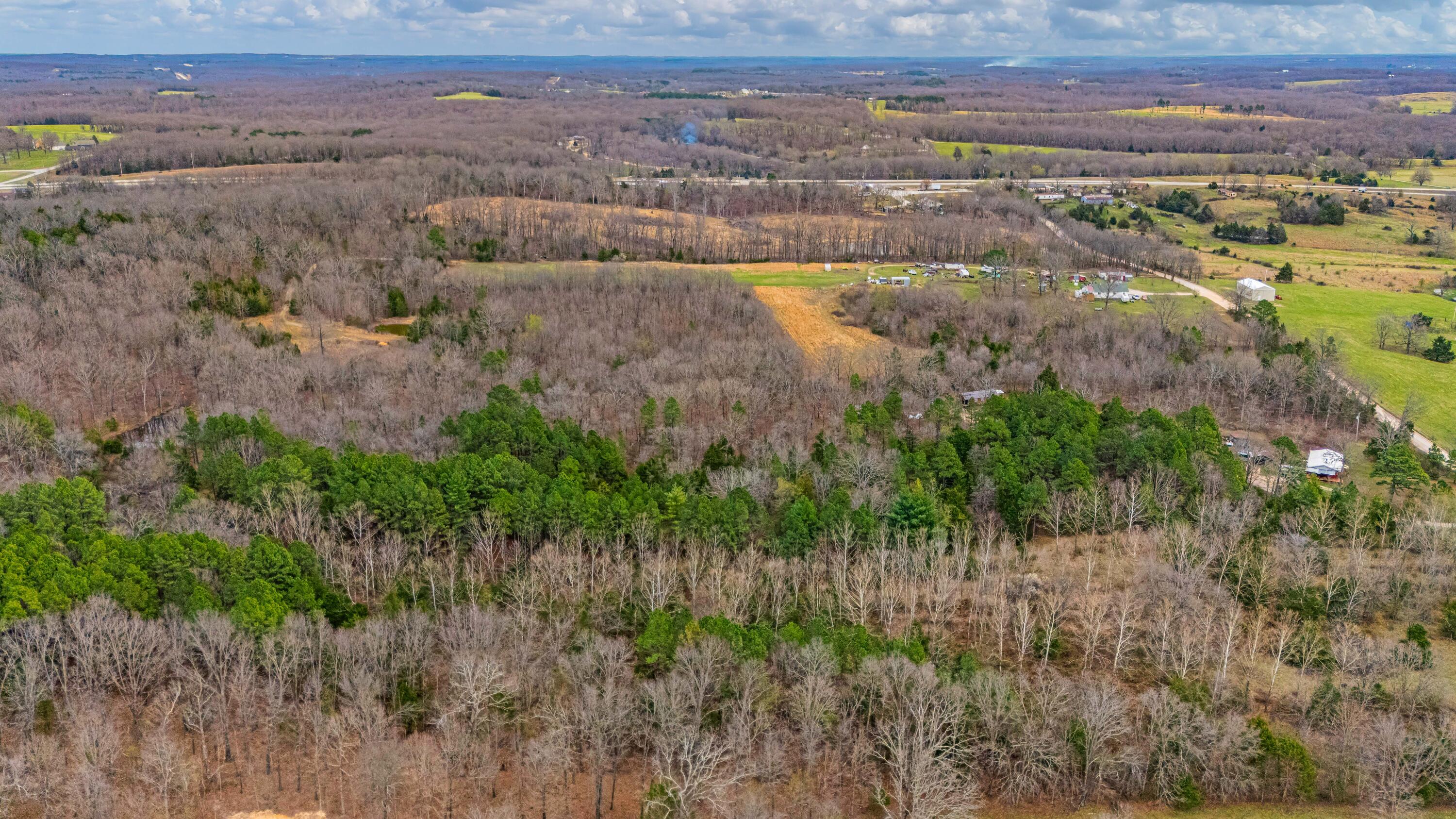 Photo 3 - Land for sale – 3725  County Road 5500   Willow Springs, MO