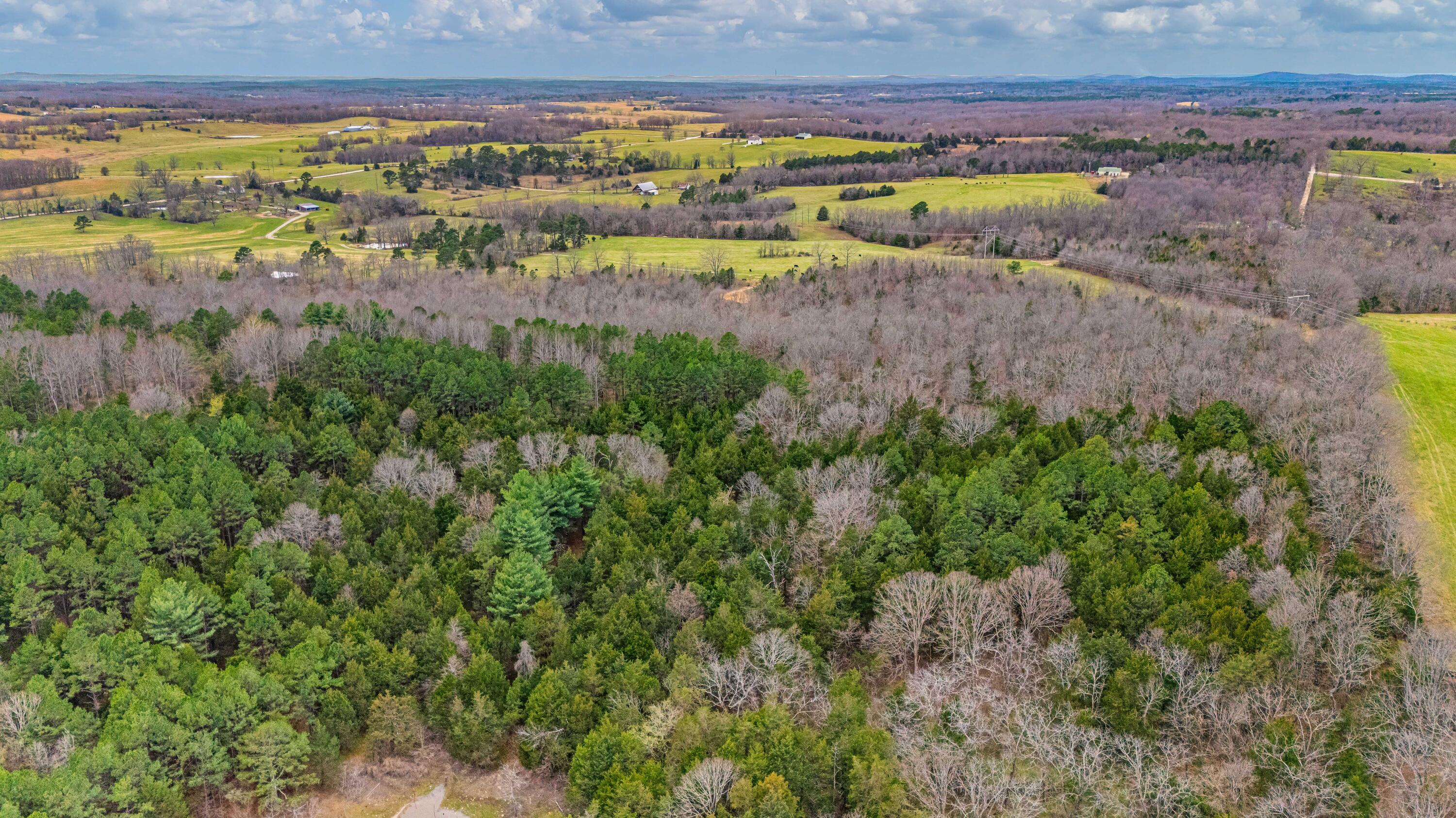 Photo 10 - Land for sale – 3725  County Road 5500   Willow Springs, MO