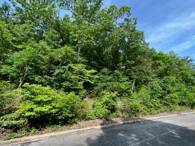 Land for sale – Lot 29  Hill Haven Road  Hollister, MO