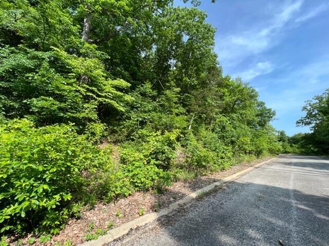Photo 3 - Land for sale – Lot 29  Hill Haven Road  Hollister, MO