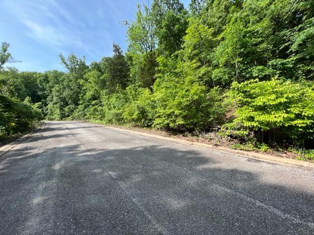 Photo 2 - Land for sale – Lot 29  Hill Haven Road  Hollister, MO