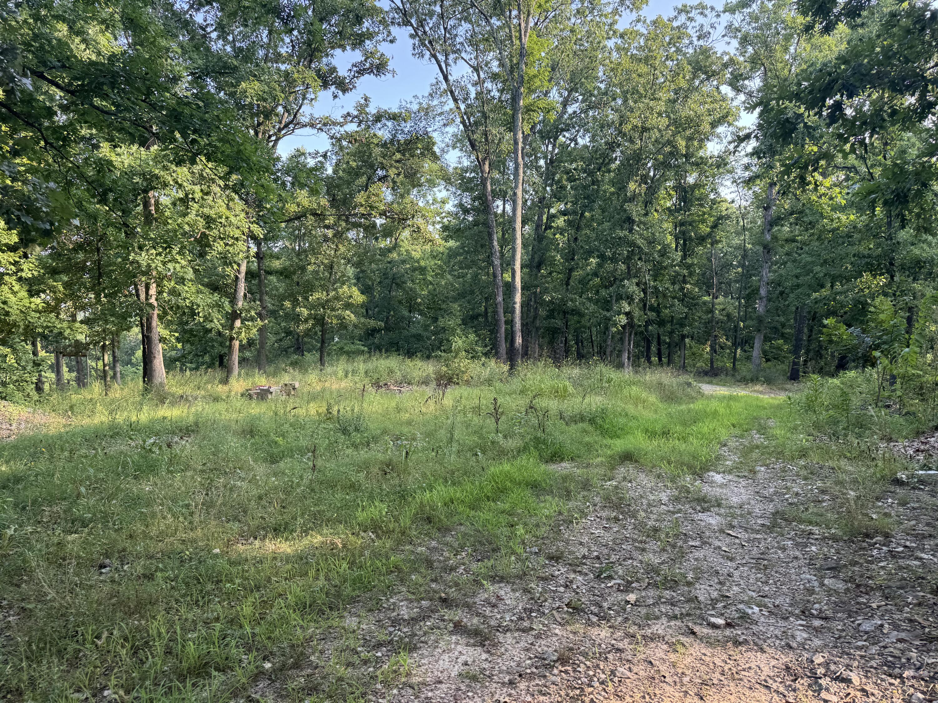 Photo 11 - Residential for sale – 19301  State Highway N   Squires, MO