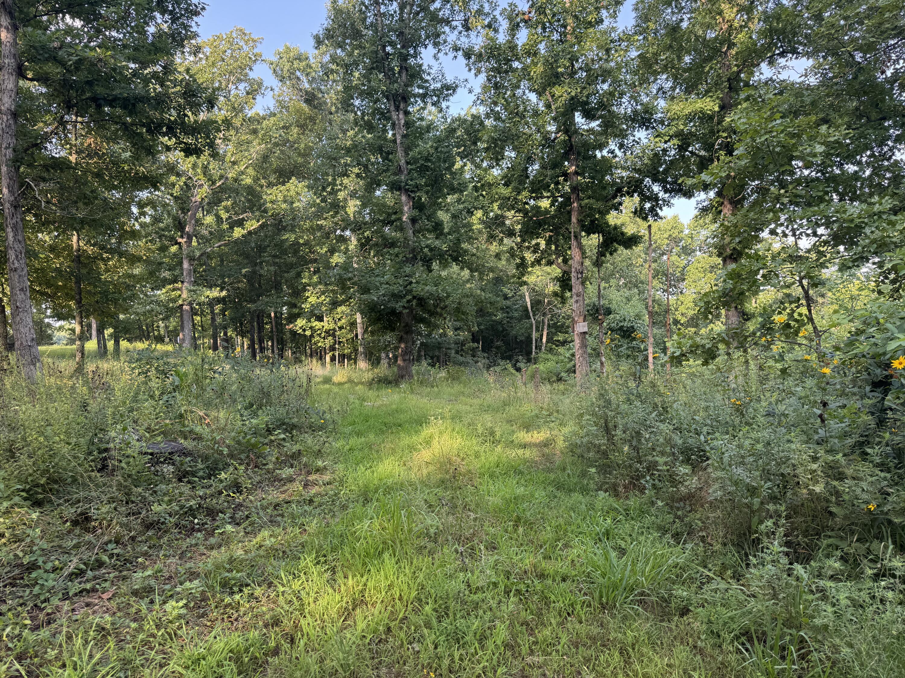 Photo 13 - Residential for sale – 19301  State Highway N   Squires, MO