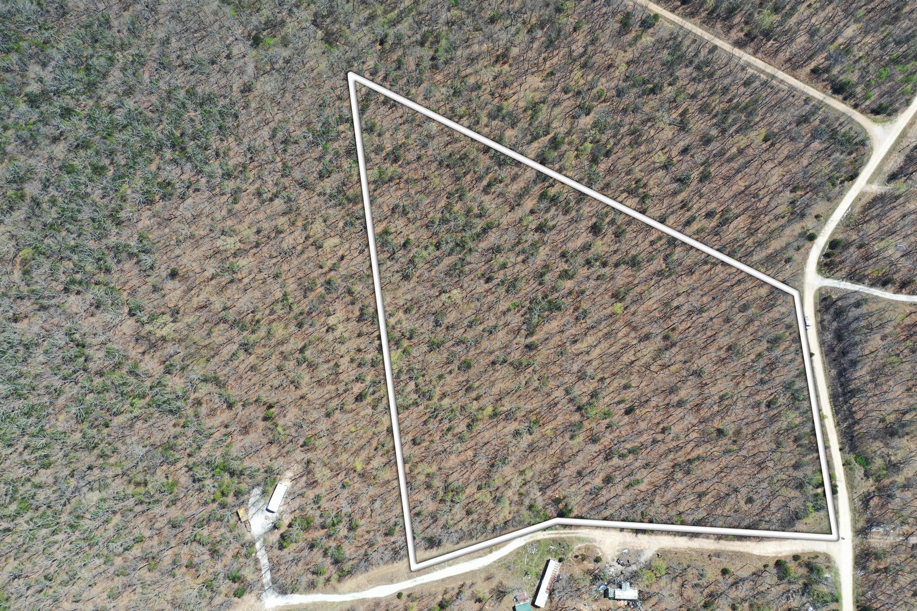 Photo 3 - Land for sale – Lot 17 S 50th Road  Humansville, MO