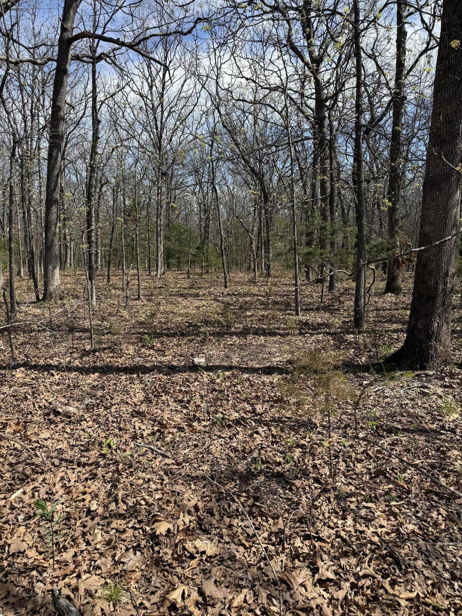 Photo 5 - Land for sale – Lot 17 S 50th Road  Humansville, MO