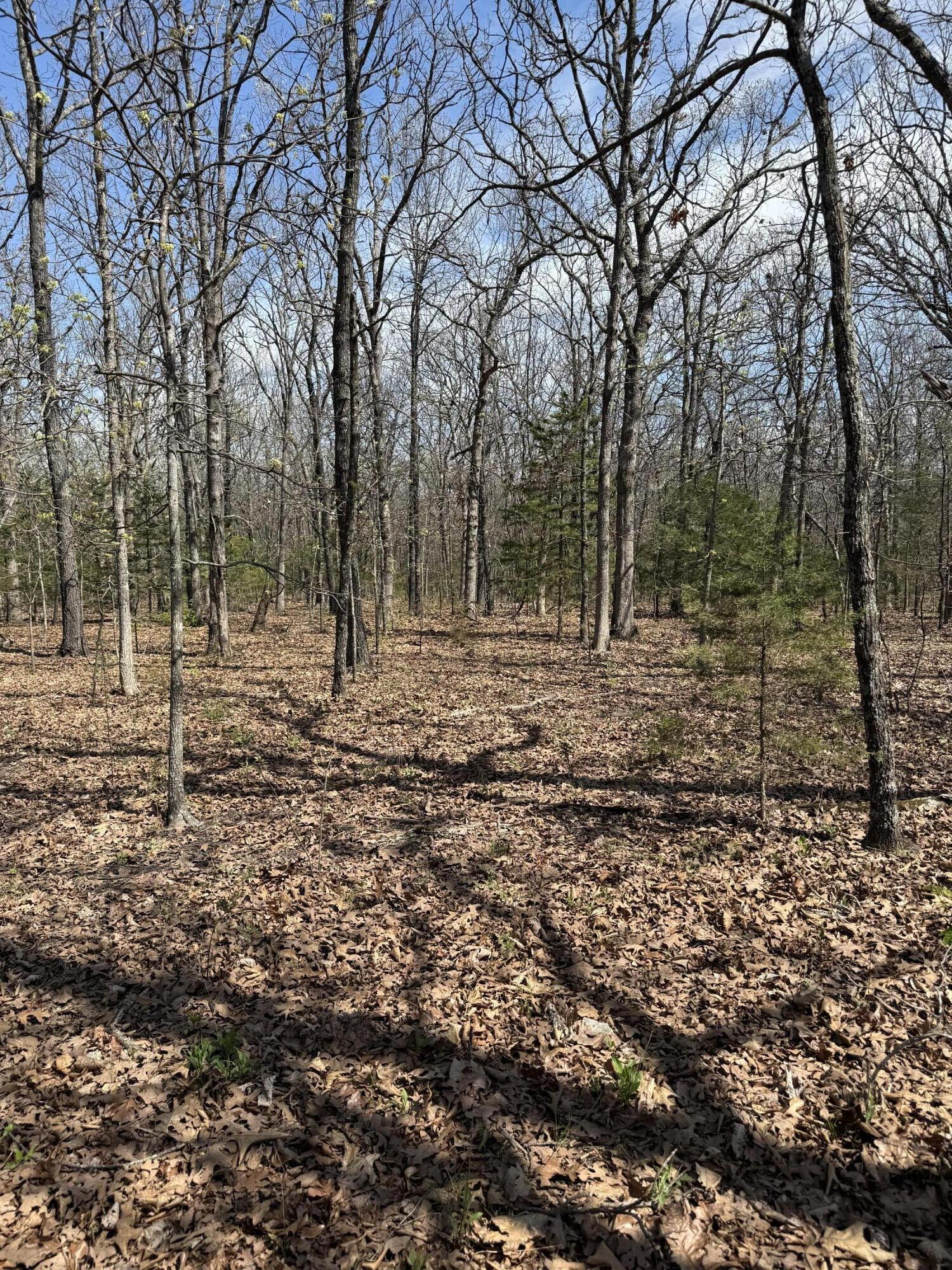 Photo 6 - Land for sale – Lot 17 S 50th Road  Humansville, MO