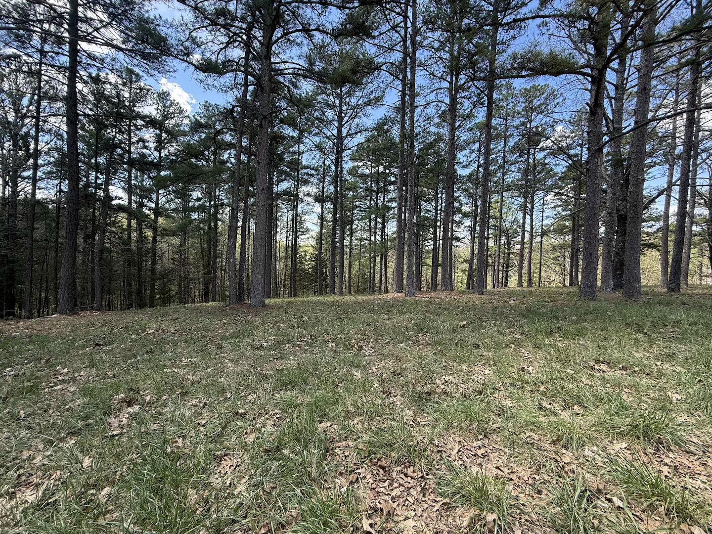 Photo 39 - Residential for sale – 15250  Wild Cherry Lane  Eminence, MO