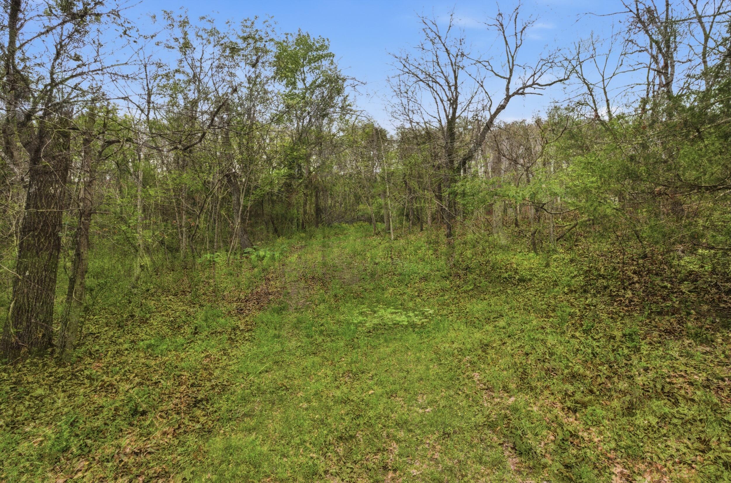 Photo 43 - Residential for sale – 310 E South Oak Crest Drive  Houston, MO