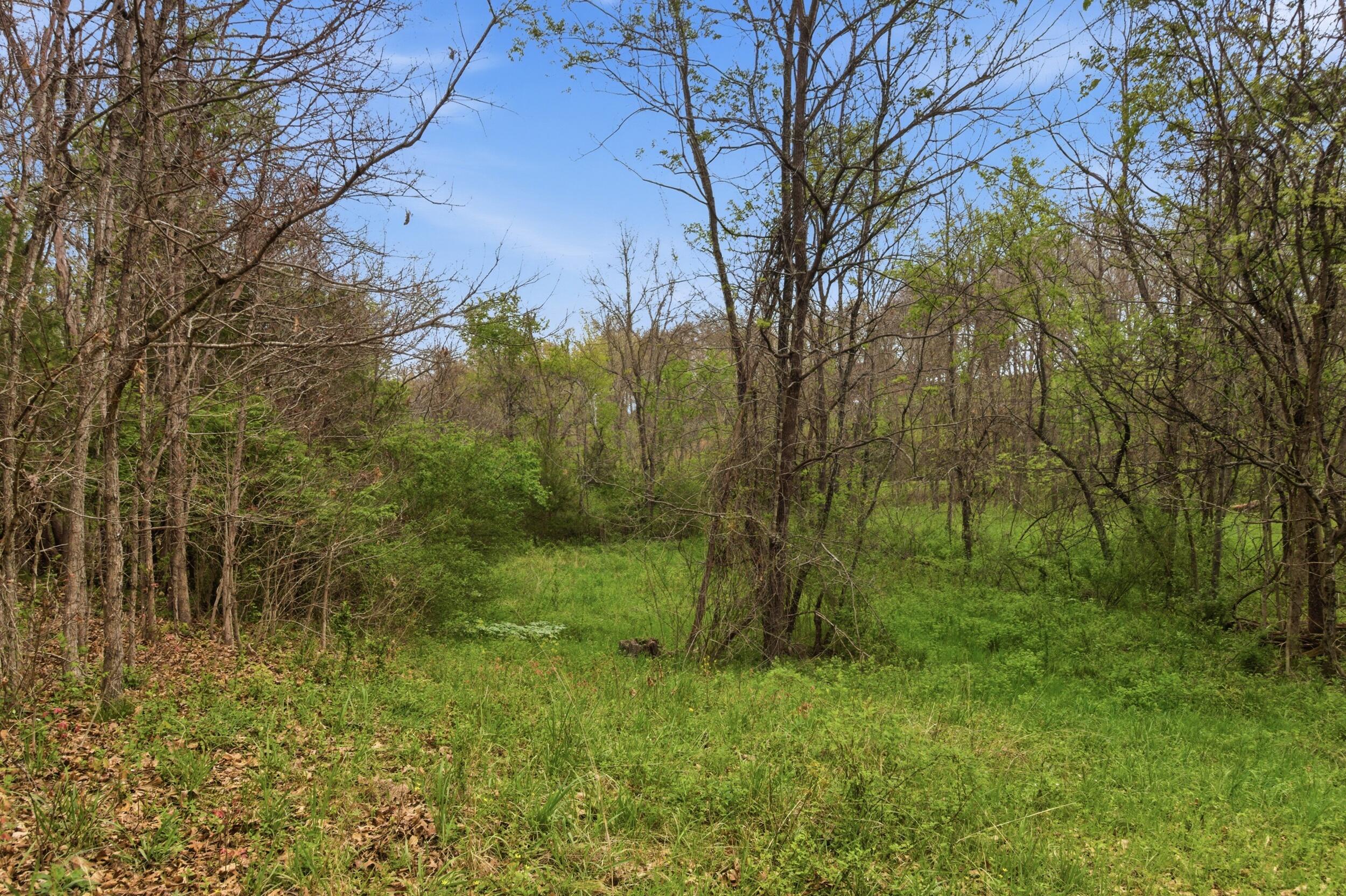 Photo 44 - Residential for sale – 310 E South Oak Crest Drive  Houston, MO