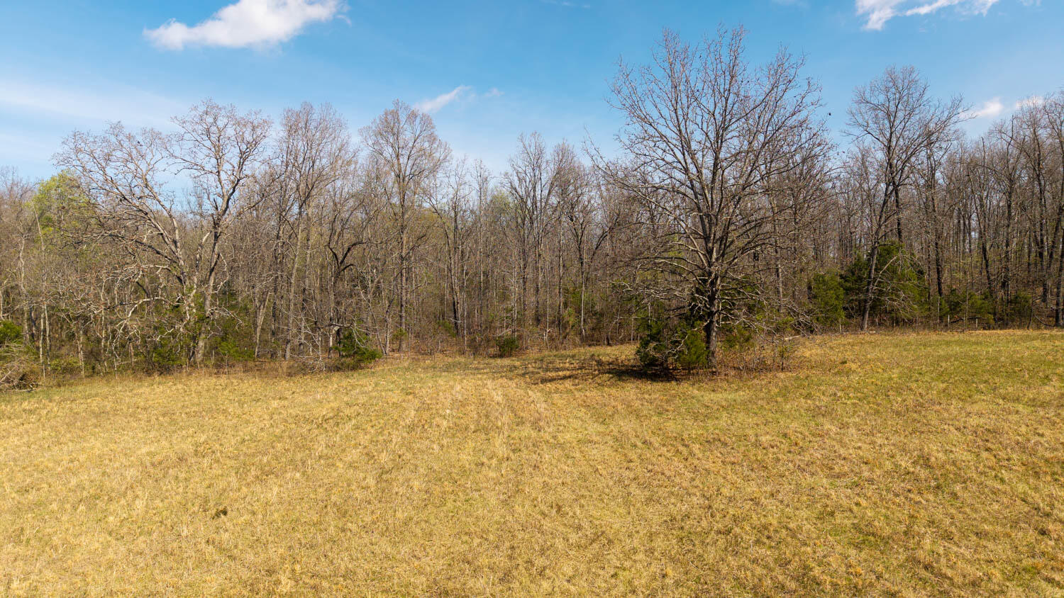 Photo 87 - Farm for sale – 1079  Ff Highway  Alton, MO