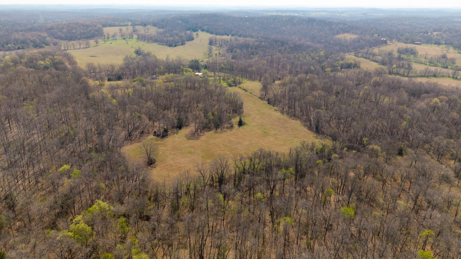 Photo 83 - Farm for sale – 1079  Ff Highway  Alton, MO