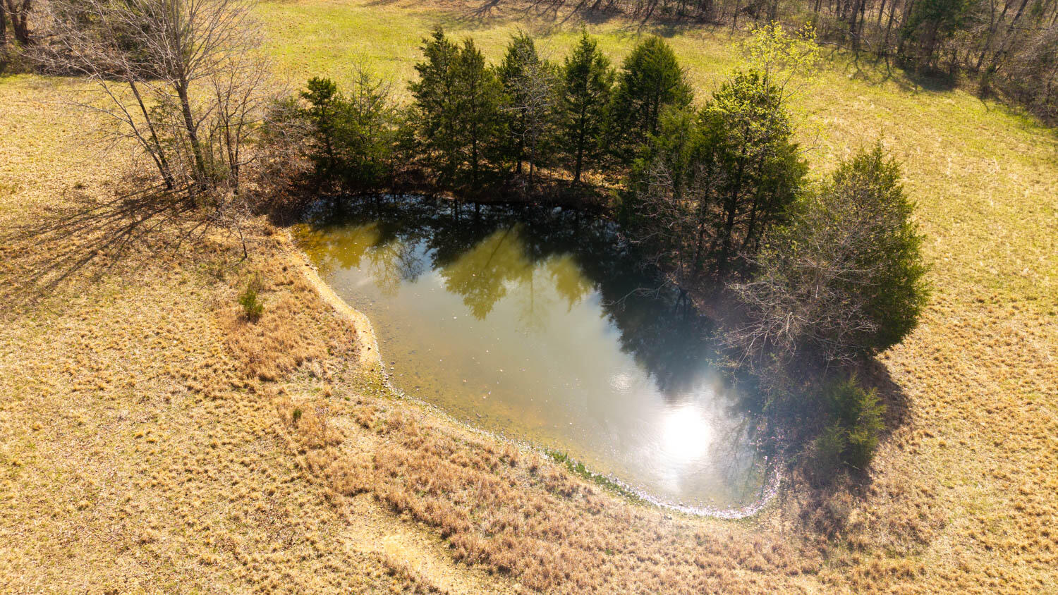 Photo 68 - Farm for sale – 1079  Ff Highway  Alton, MO