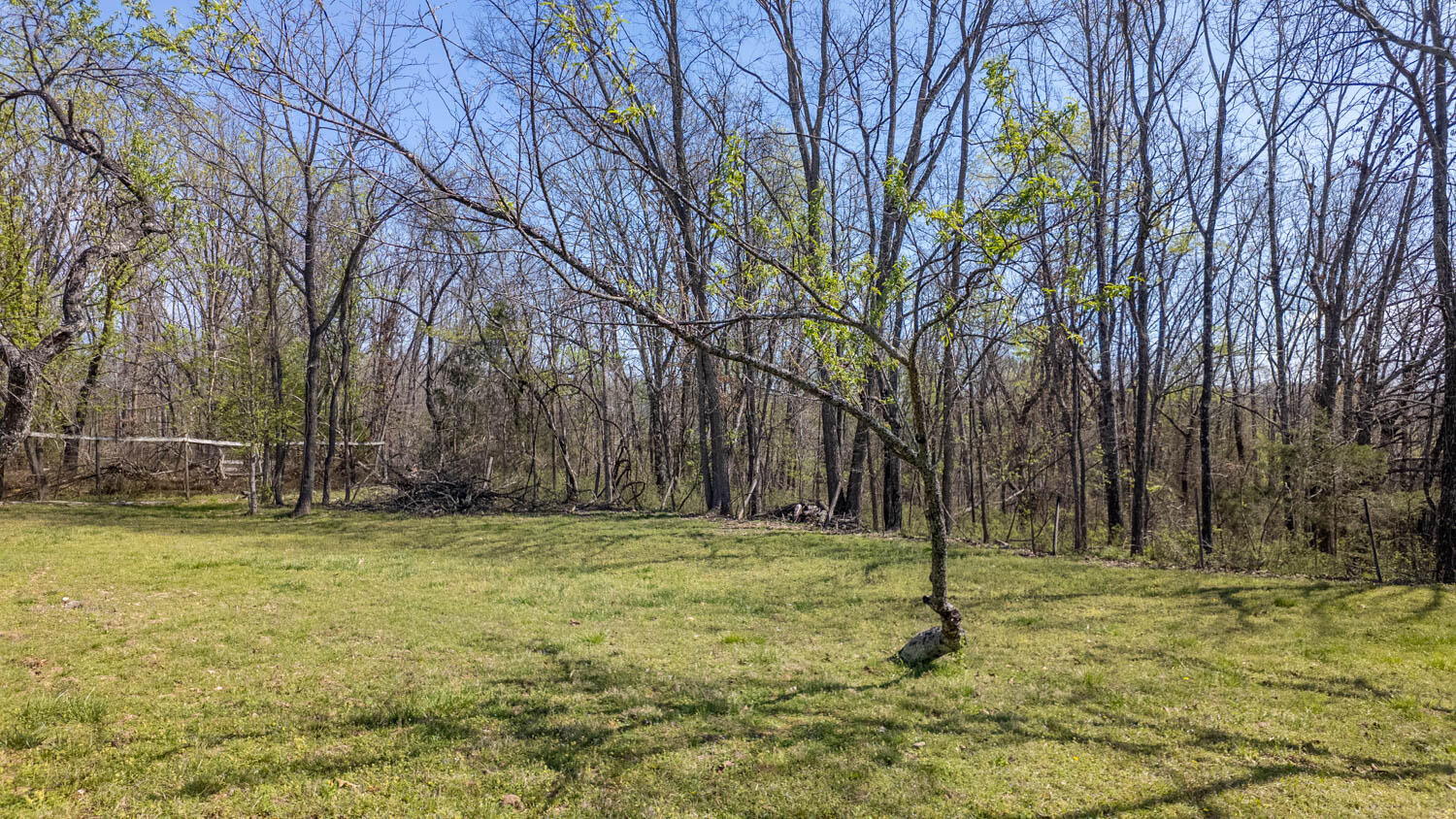 Photo 89 - Farm for sale – 1079  Ff Highway  Alton, MO