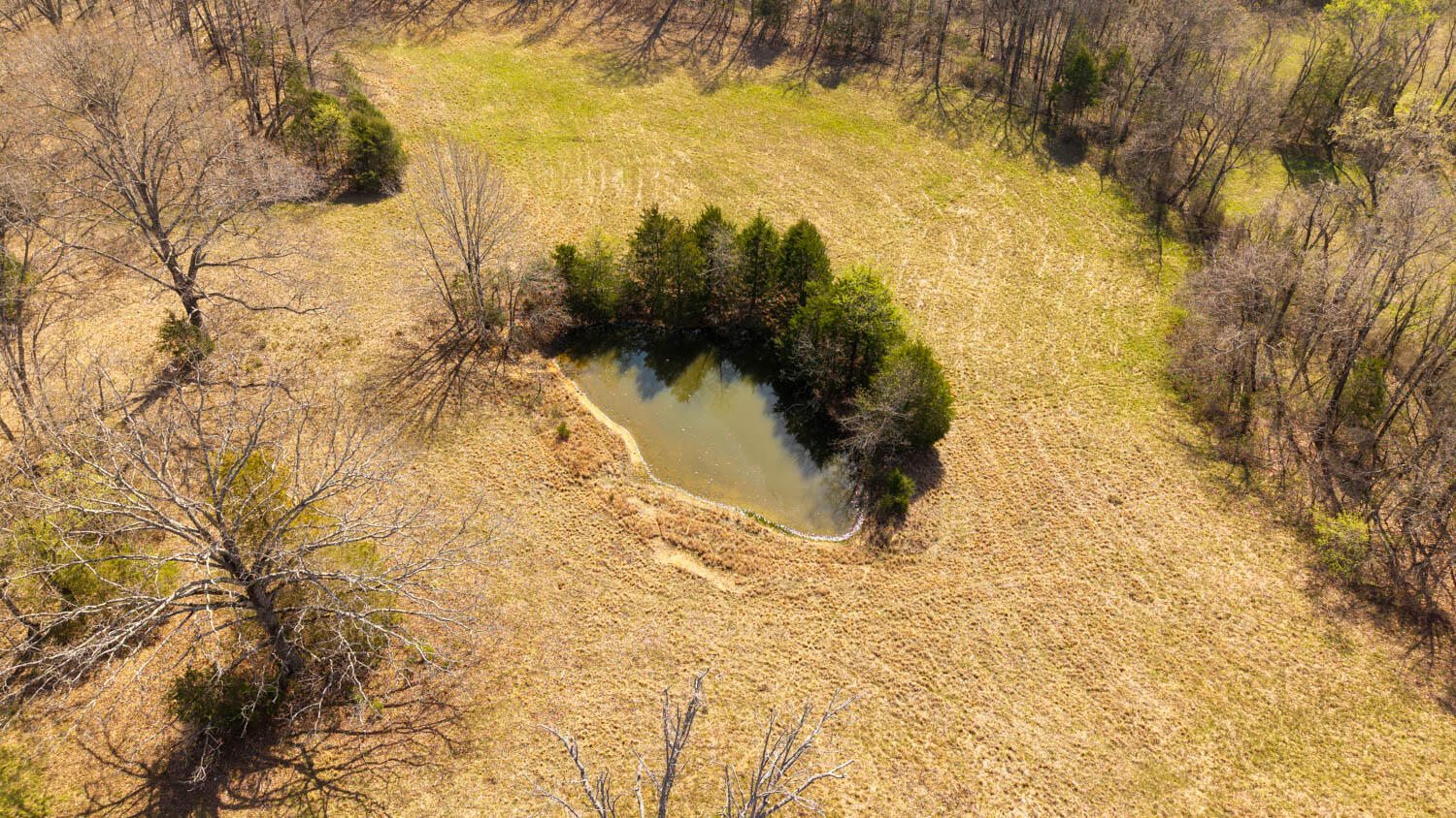 Photo 69 - Farm for sale – 1079  Ff Highway  Alton, MO