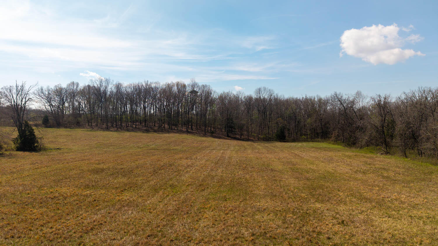 Photo 84 - Farm for sale – 1079  Ff Highway  Alton, MO