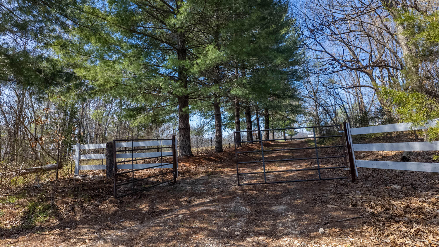 Photo 90 - Farm for sale – 1079  Ff Highway  Alton, MO