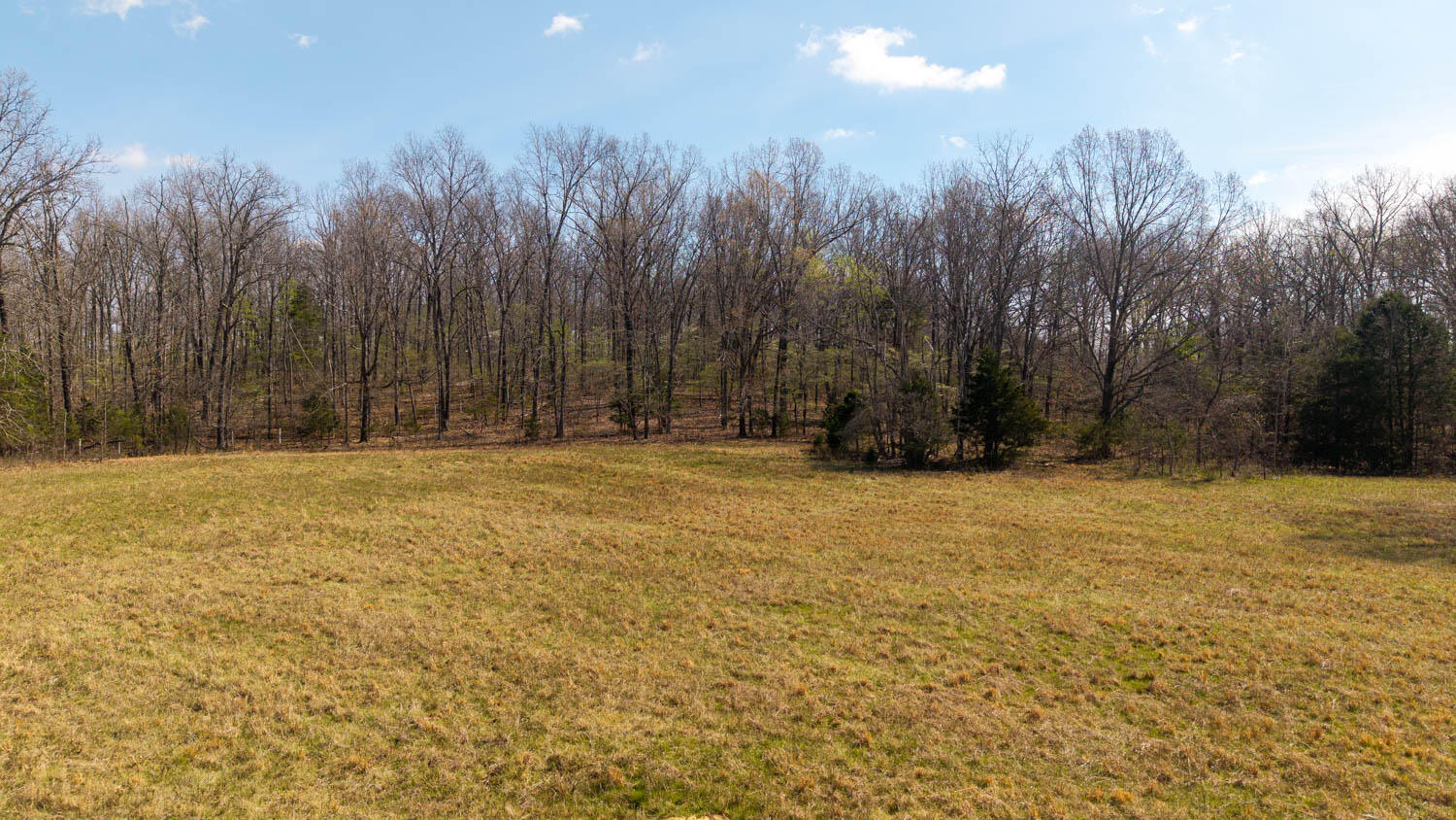 Photo 86 - Farm for sale – 1079  Ff Highway  Alton, MO