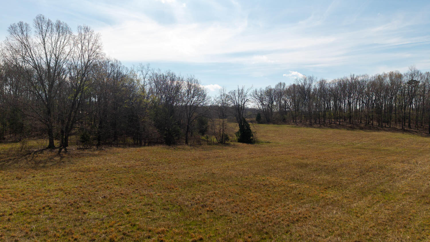 Photo 85 - Farm for sale – 1079  Ff Highway  Alton, MO