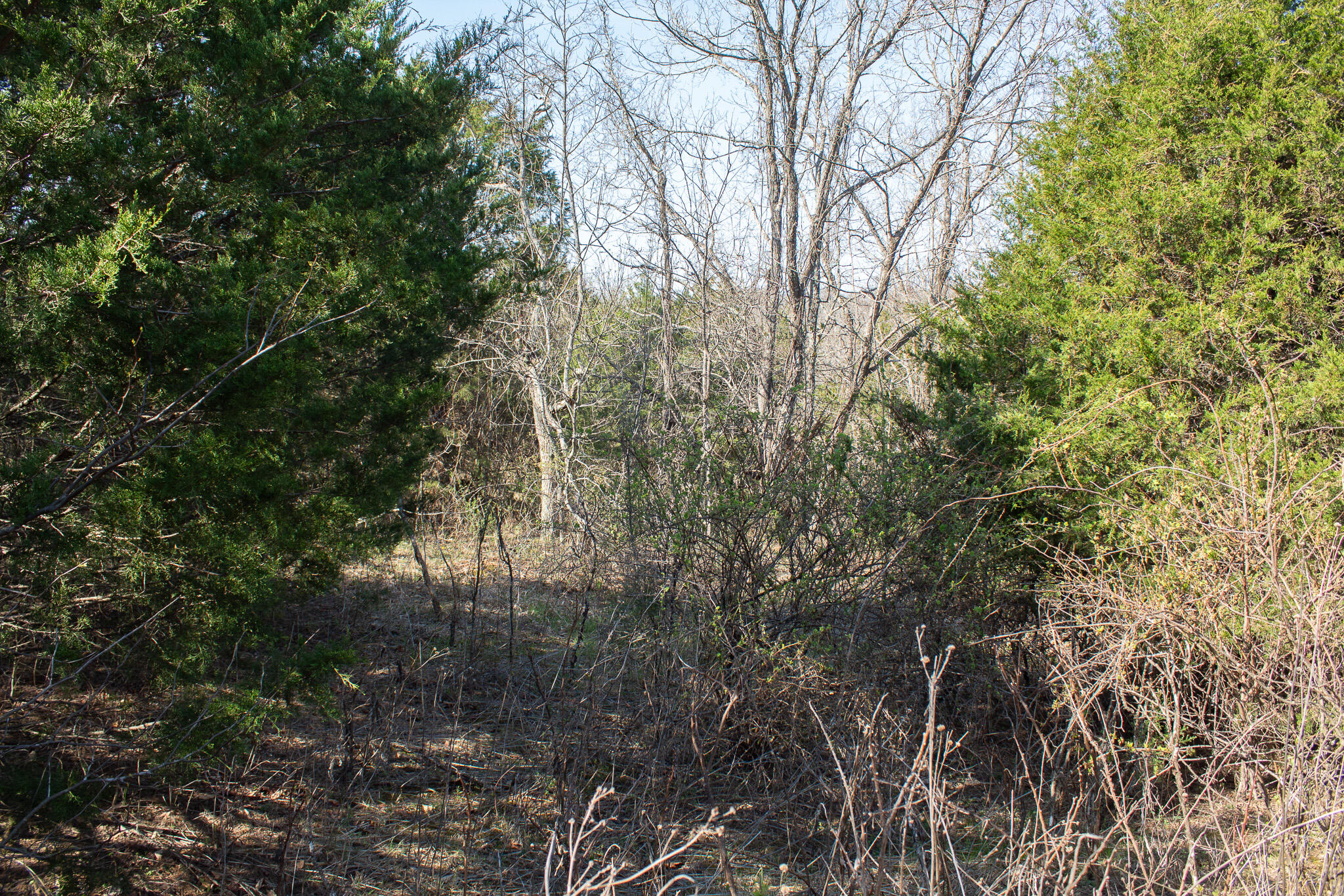 Photo 19 - Land for sale – 000  Sapphire Drive  Richland, MO