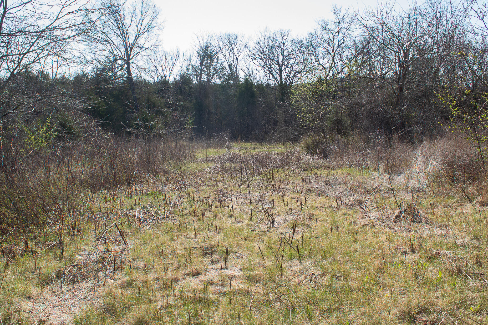 Photo 52 - Land for sale – 000  Sapphire Drive  Richland, MO