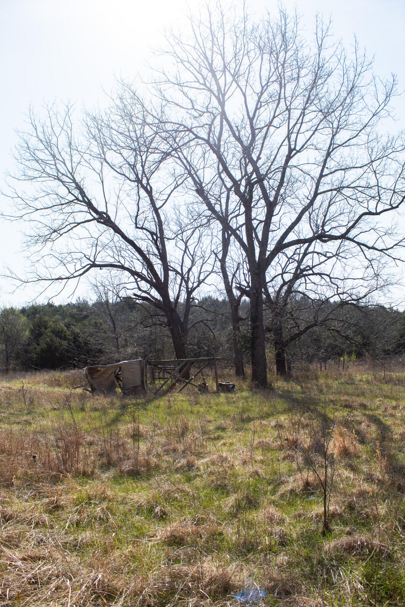 Photo 42 - Land for sale – 000  Sapphire Drive  Richland, MO