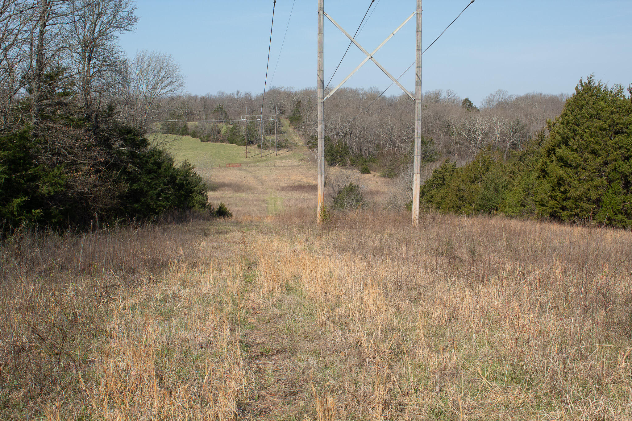 Photo 5 - Land for sale – 000  Sapphire Drive  Richland, MO