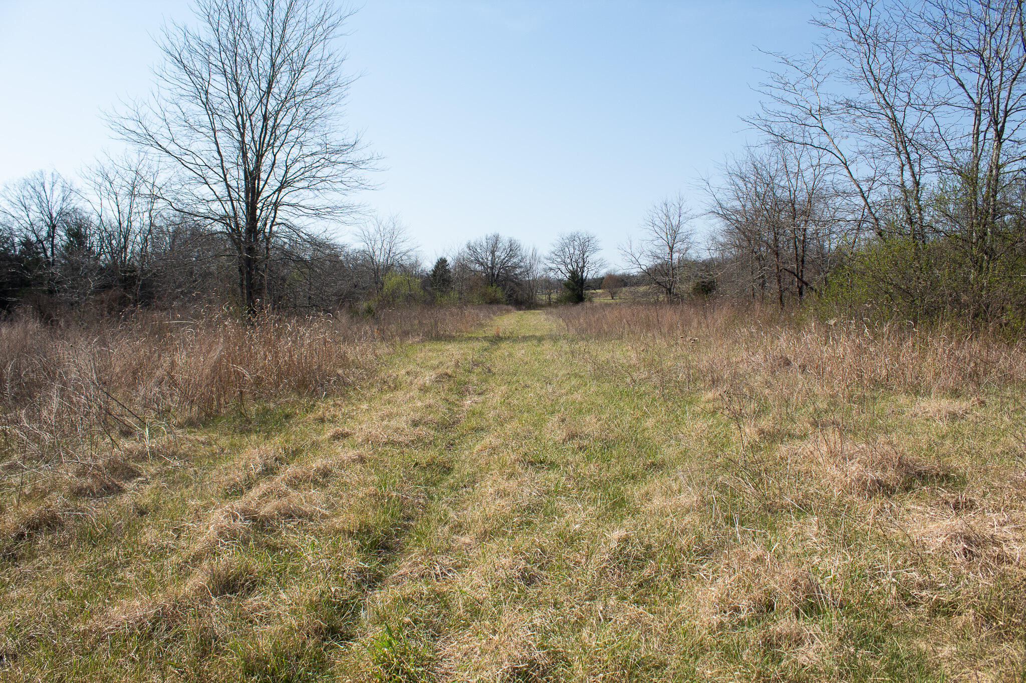 Photo 50 - Land for sale – 000  Sapphire Drive  Richland, MO