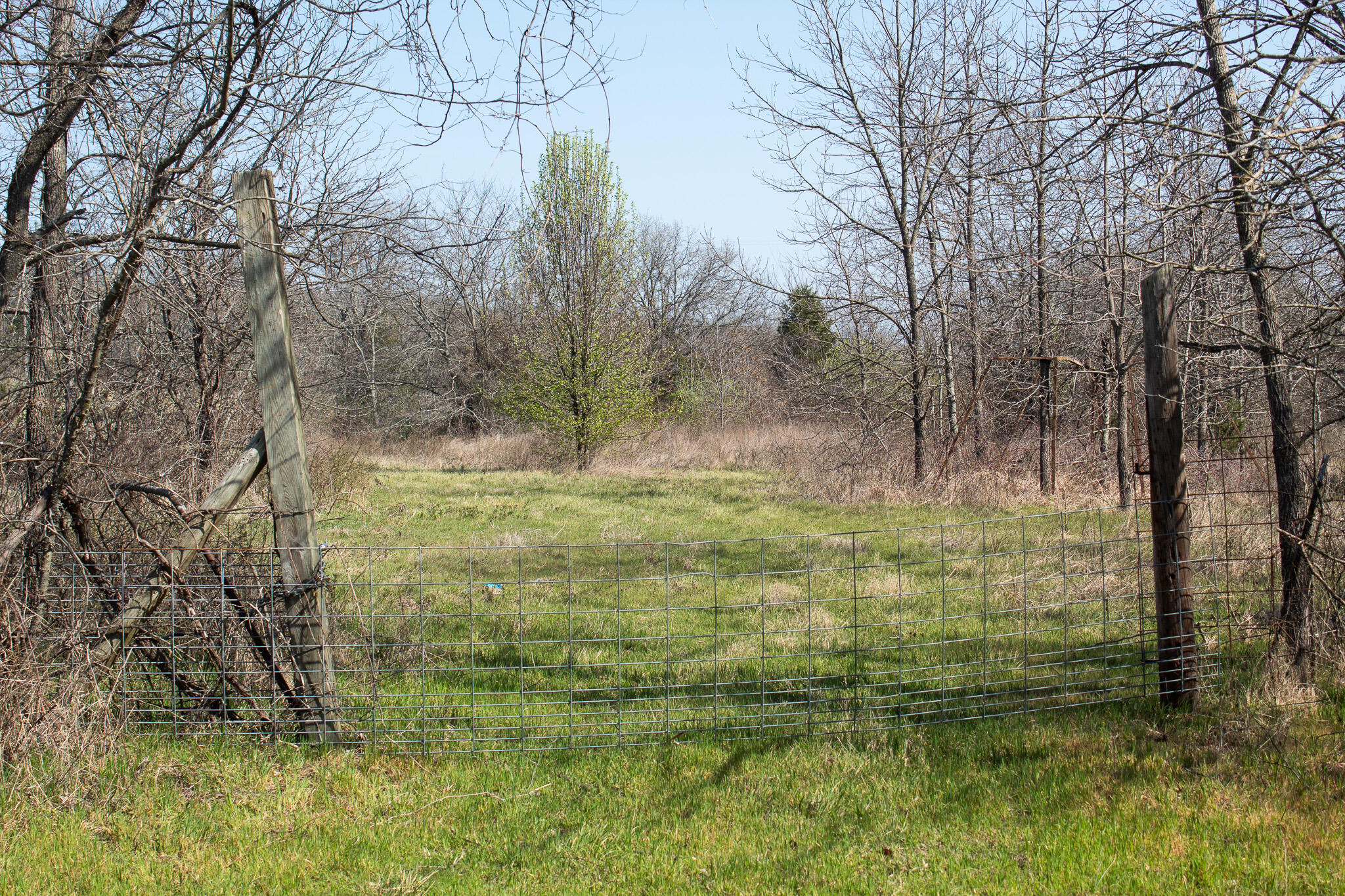 Photo 56 - Land for sale – 000  Sapphire Drive  Richland, MO